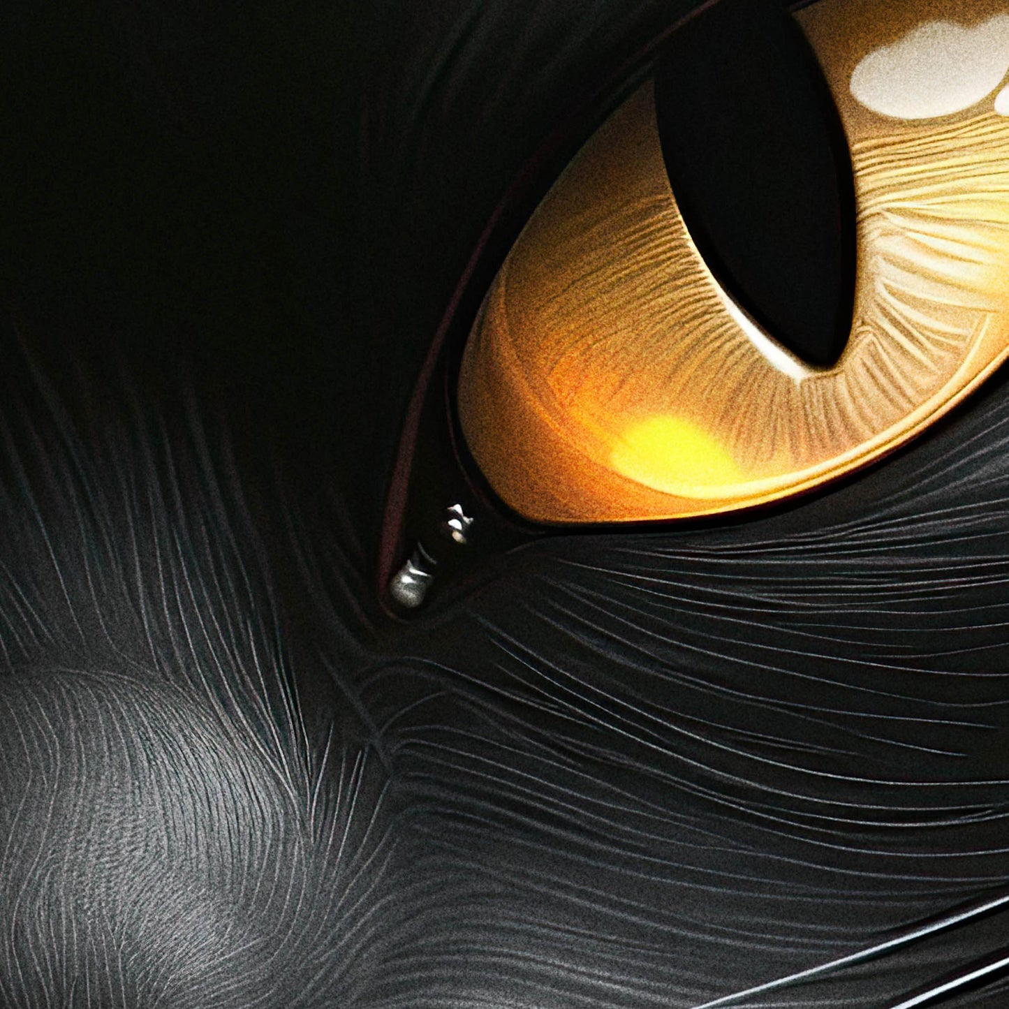 »Moody Meows« poster