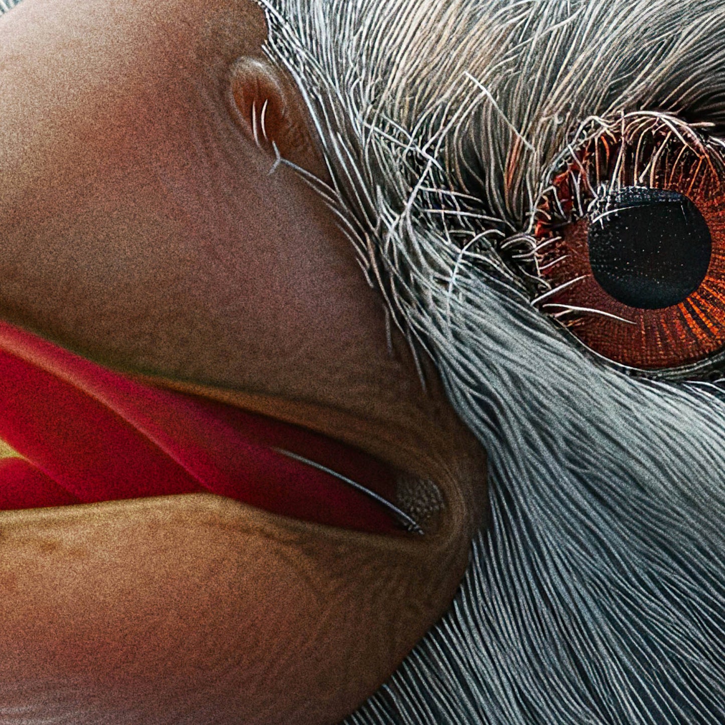 »Silent Songbird« poster