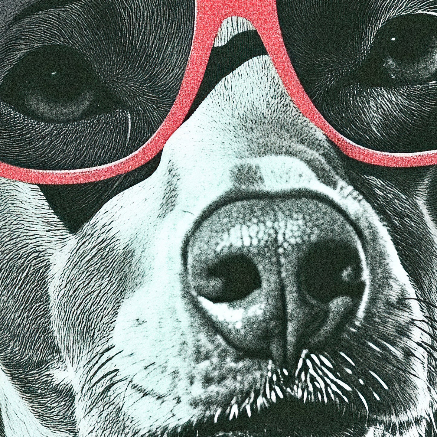 »Cooler than your average pup« arty hundposter