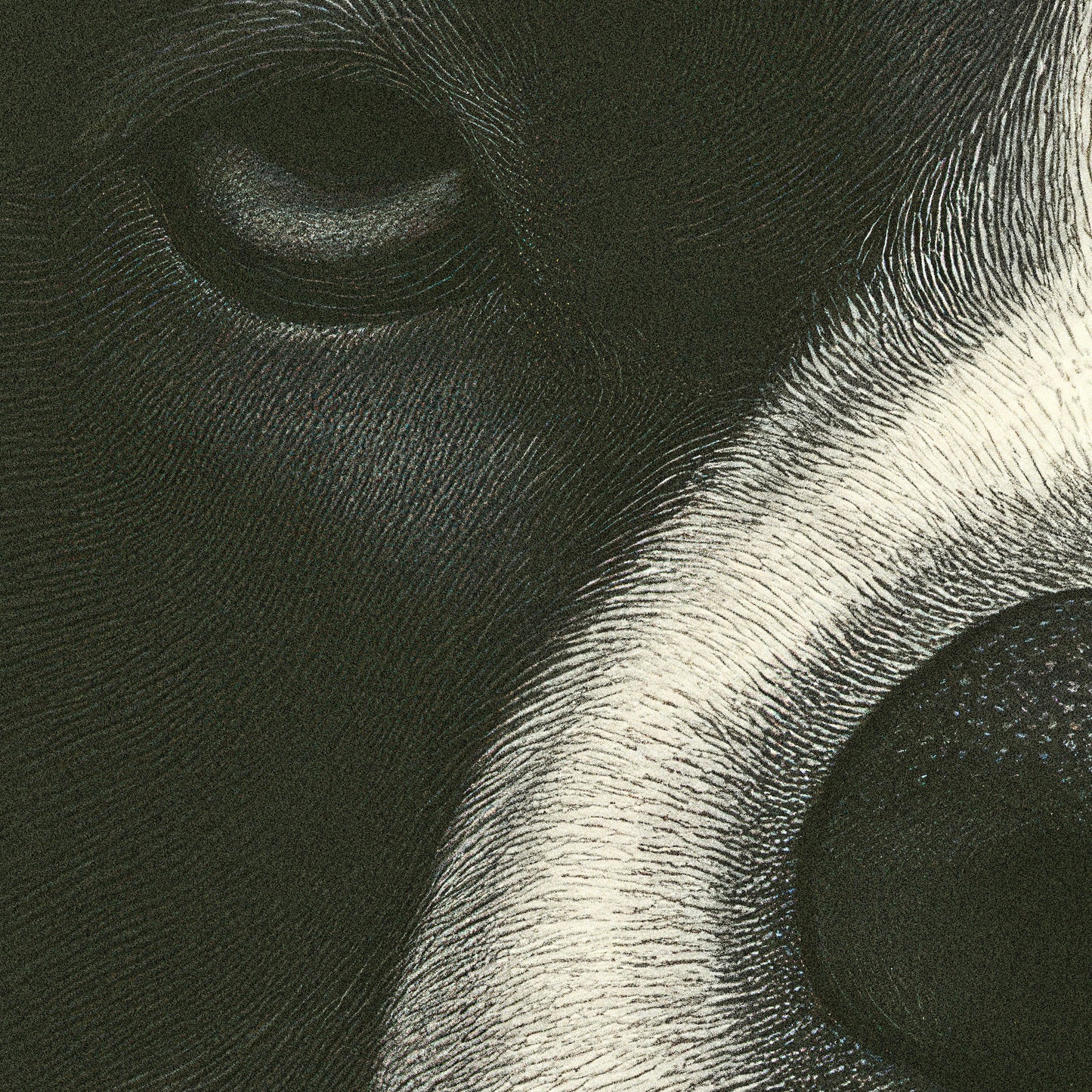 »Seen It All. Still Unimpressed« arty hundposter