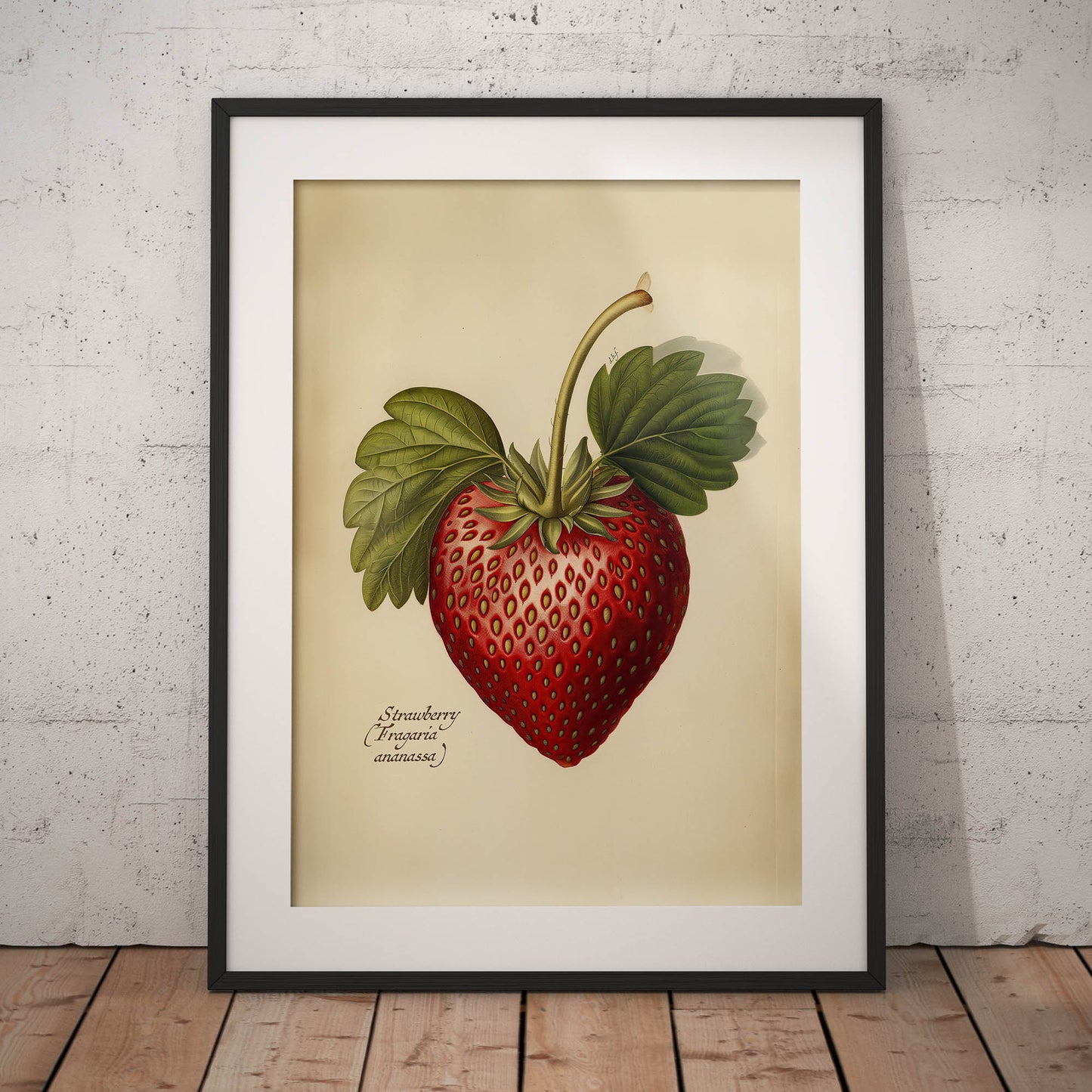 »Strawberry« botanisk vintageposter