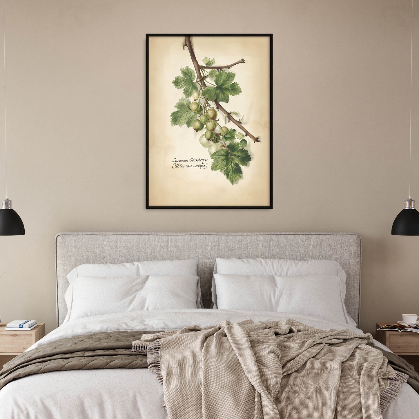 »Gooseberry 2« botanisk vintageposter