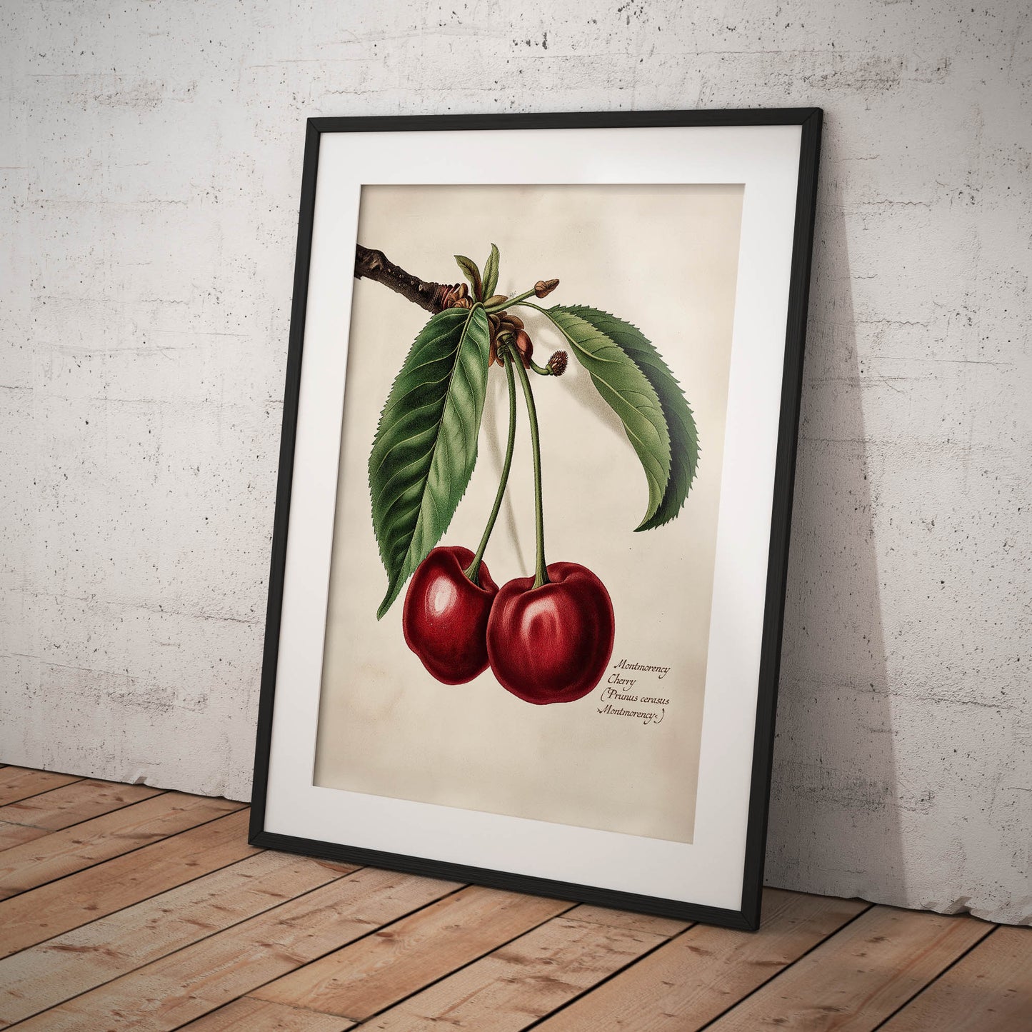 »Cherry« botanisk vintageposter