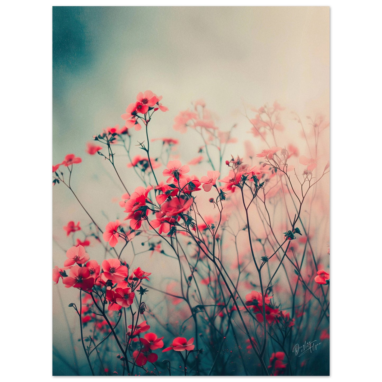 bdf33ab9-7aab-4d05-84ba-710792aad4ea