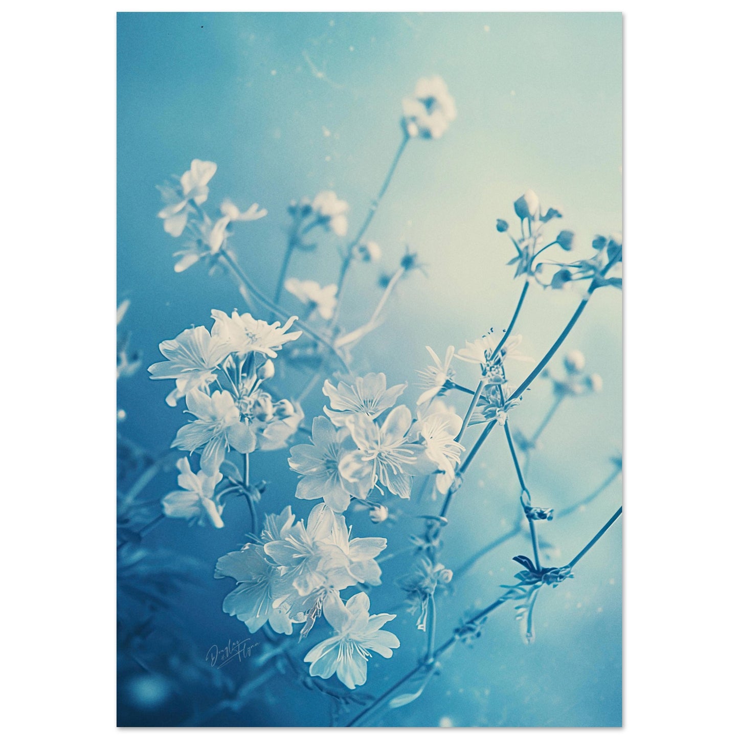 c66080ee-ba1b-48de-987e-d2a6c362dd7c