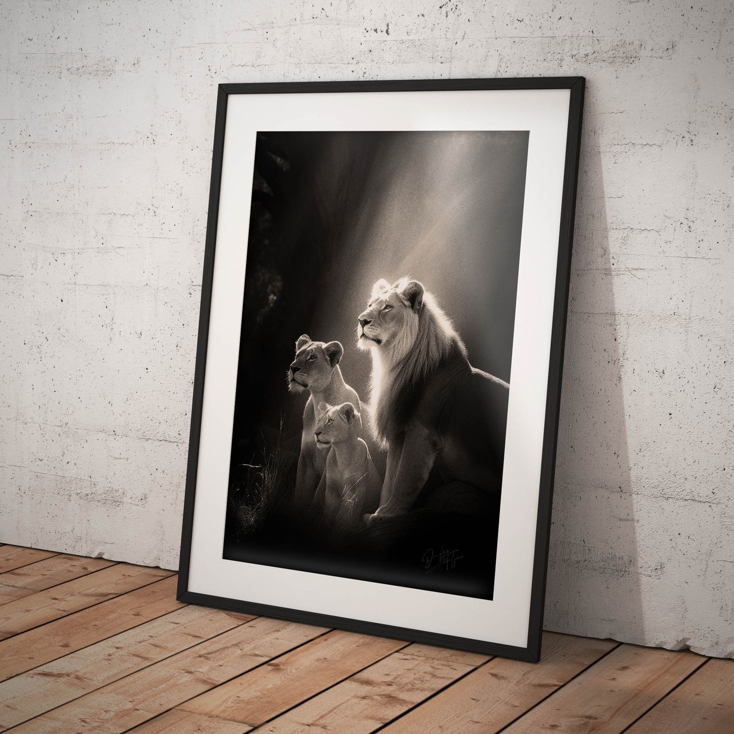 »Roars and Whispers« poster