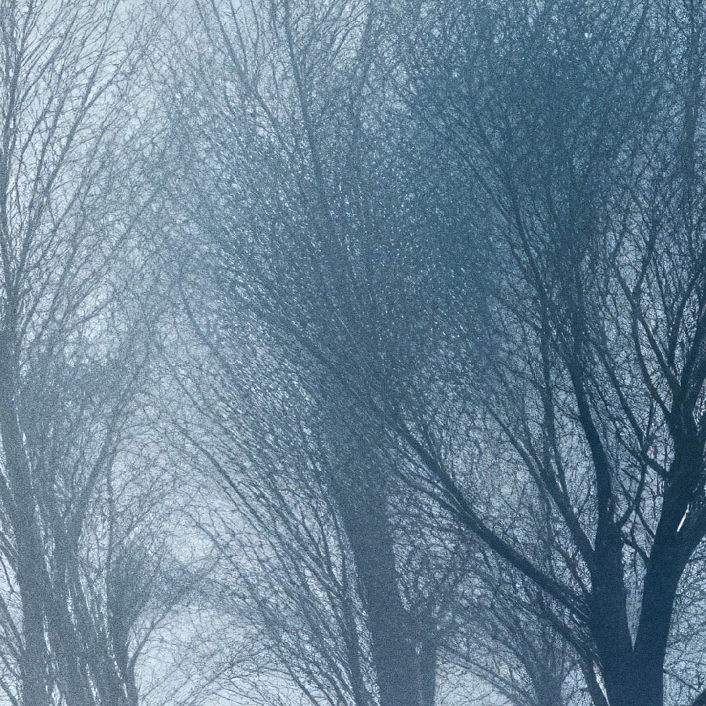 »Echoes of Eternity« landskapsposter