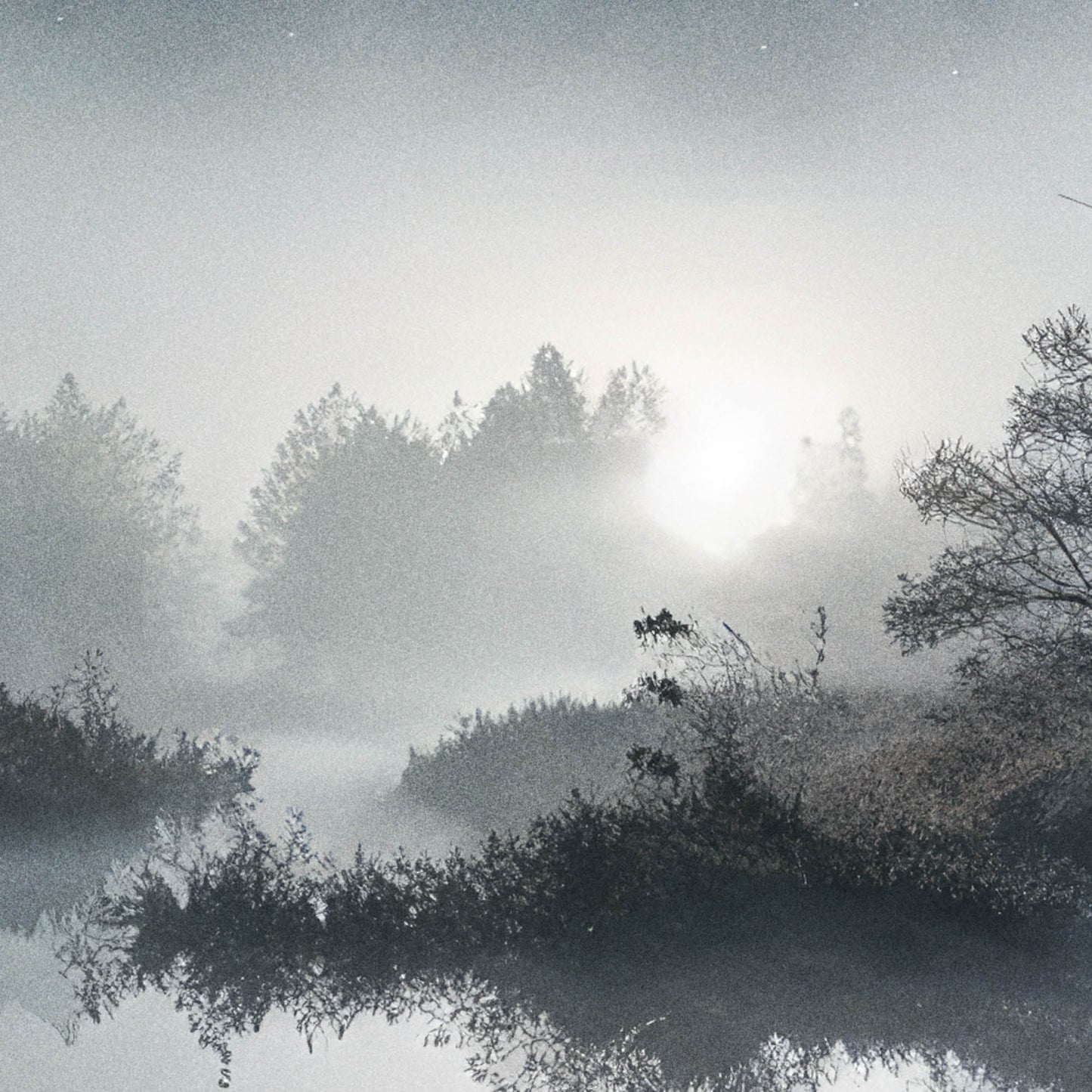 »In the Realm of Reverie« landskapsposter