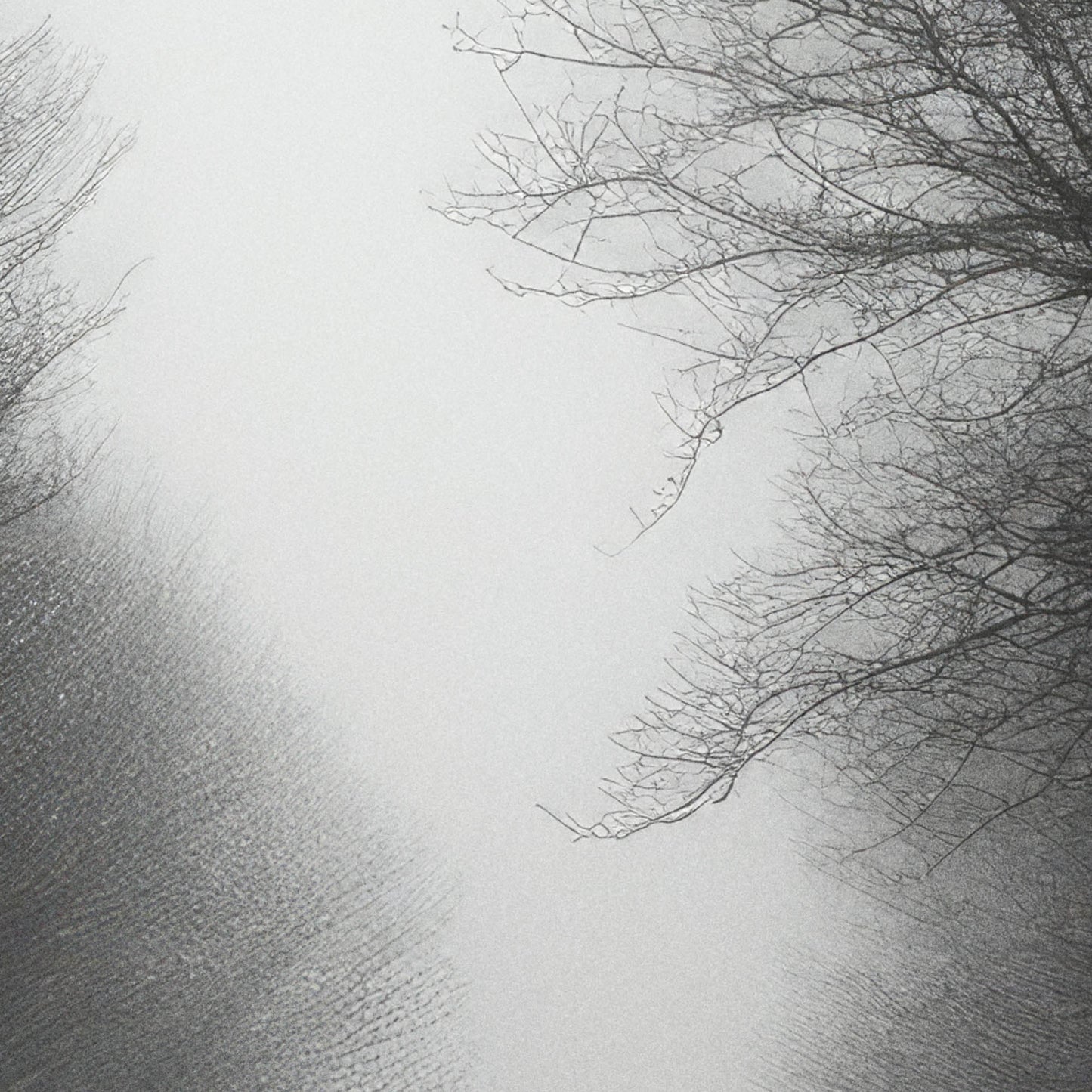 »Melody of Time« landskapsposter