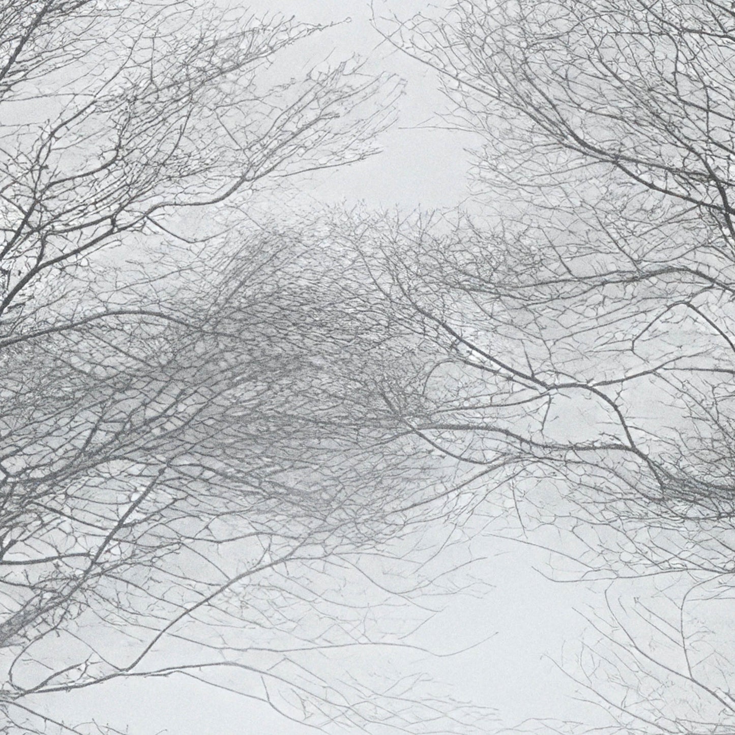 »Secrets of the Unseen« landskapsposter