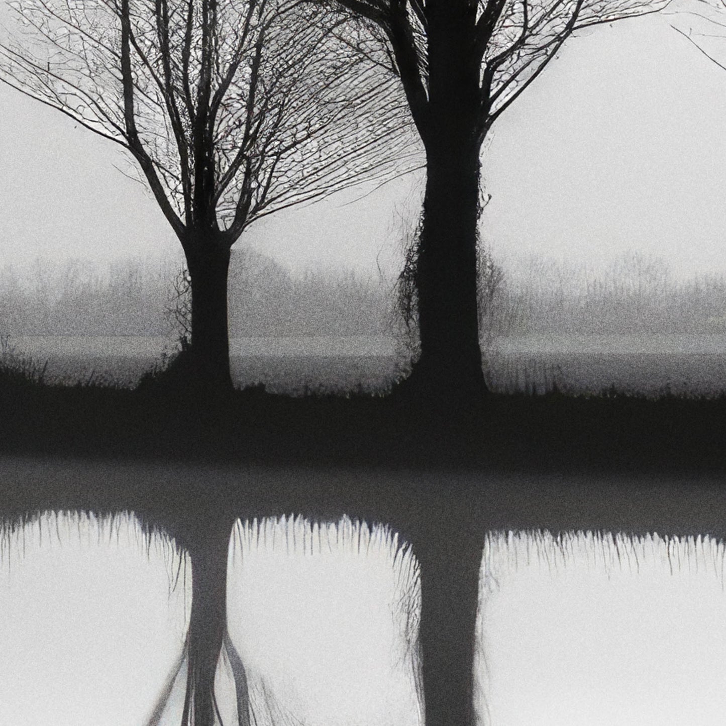 »Whispering Shadows« landskapsposter