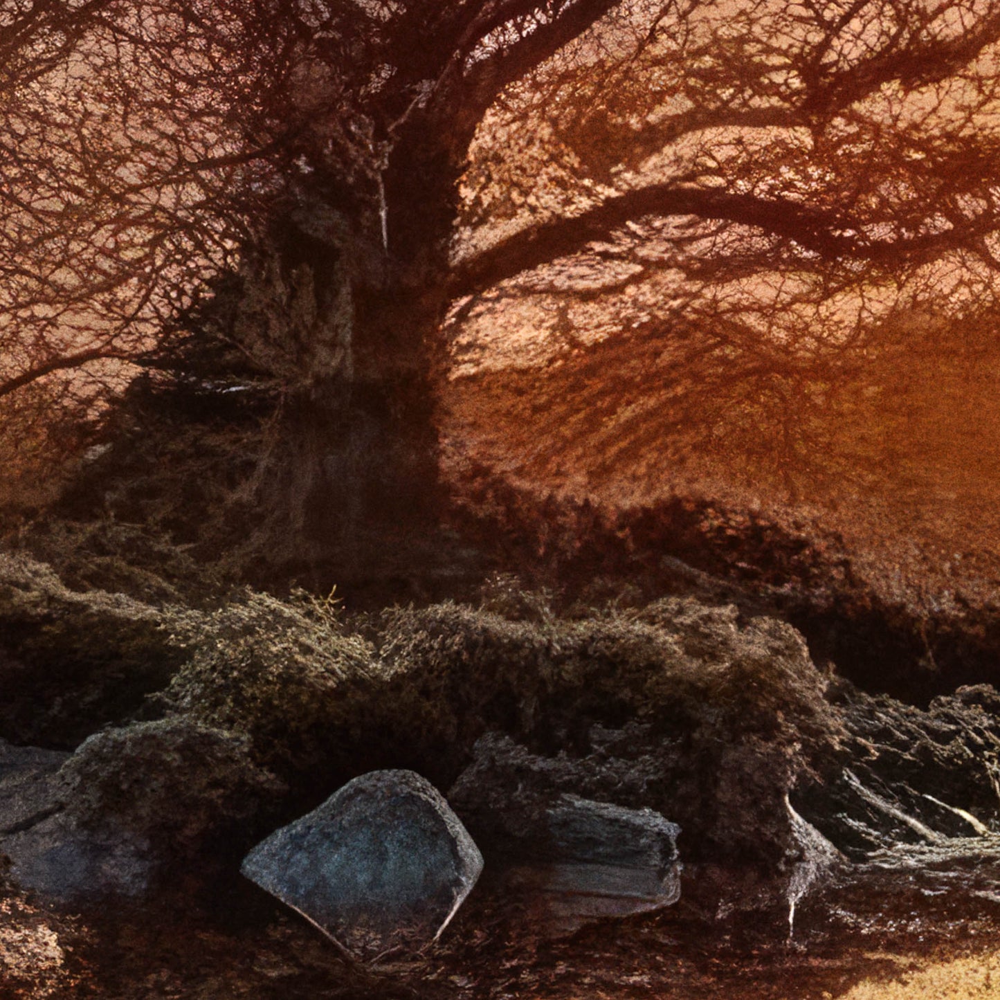 »Woven Paths of Destiny« landskapsposter