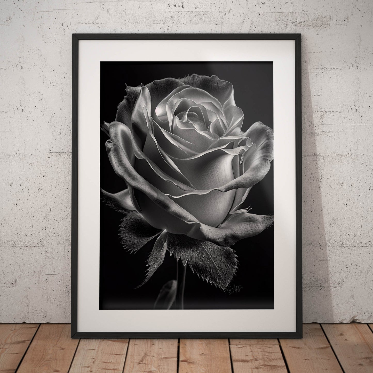 »Rose and Shadows« poster