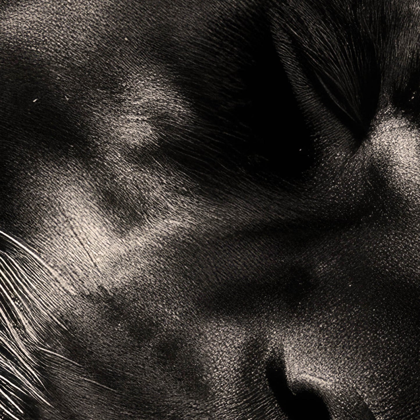 »Peaceful Slumber« poster