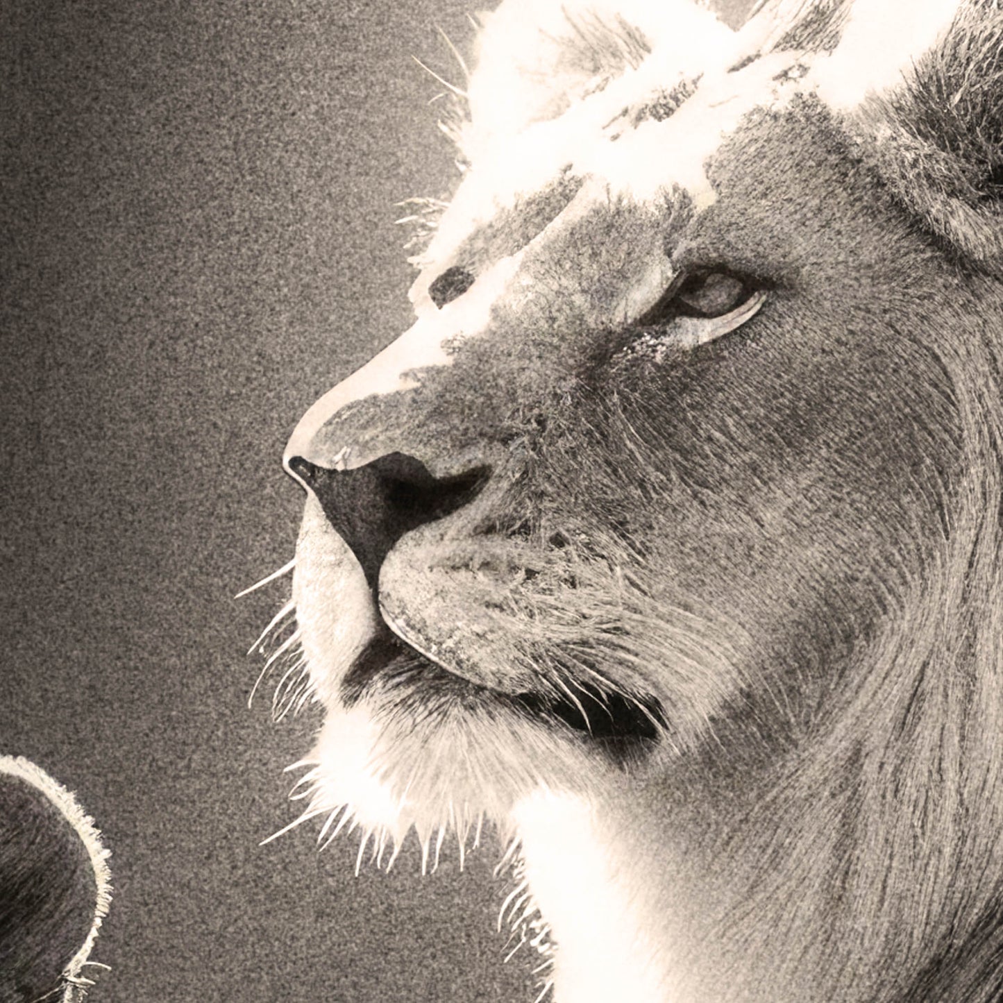 »Roars and Whispers« poster