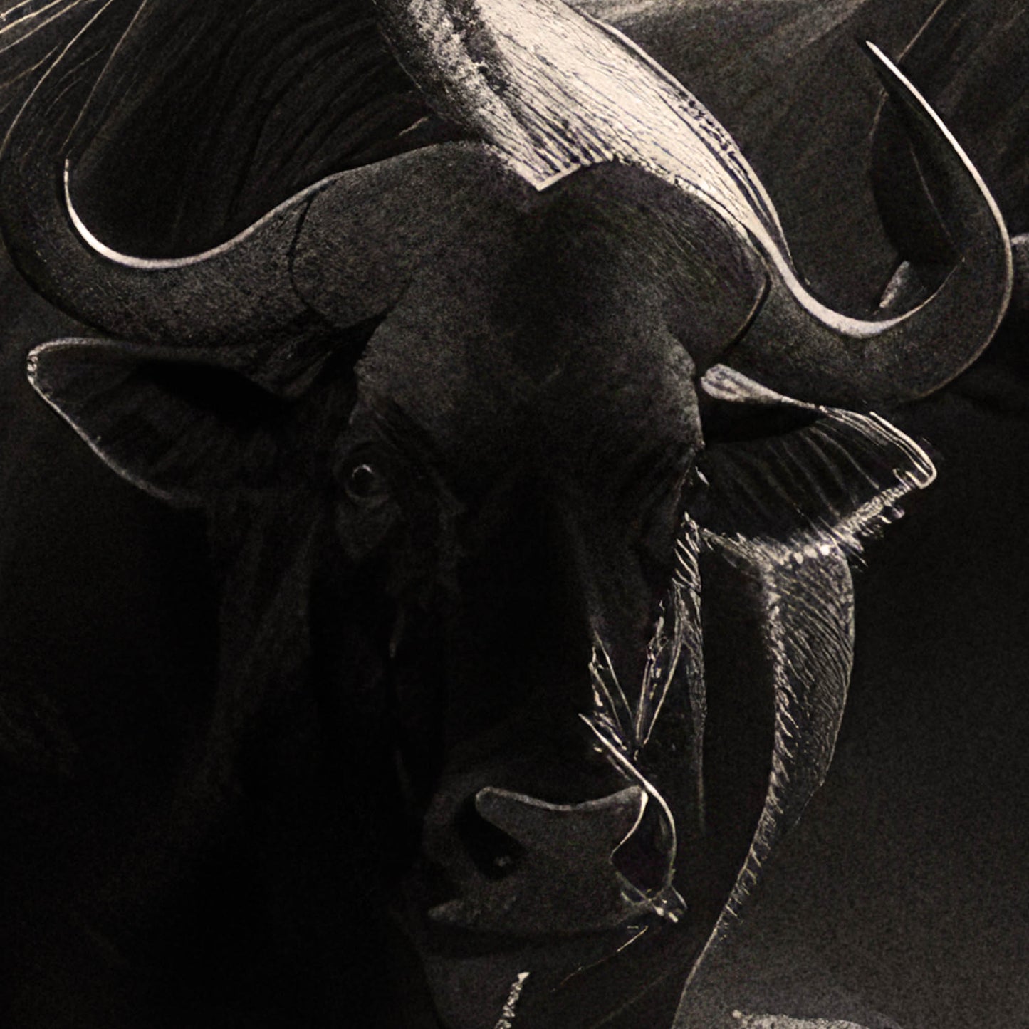 »Thundering Hooves« poster