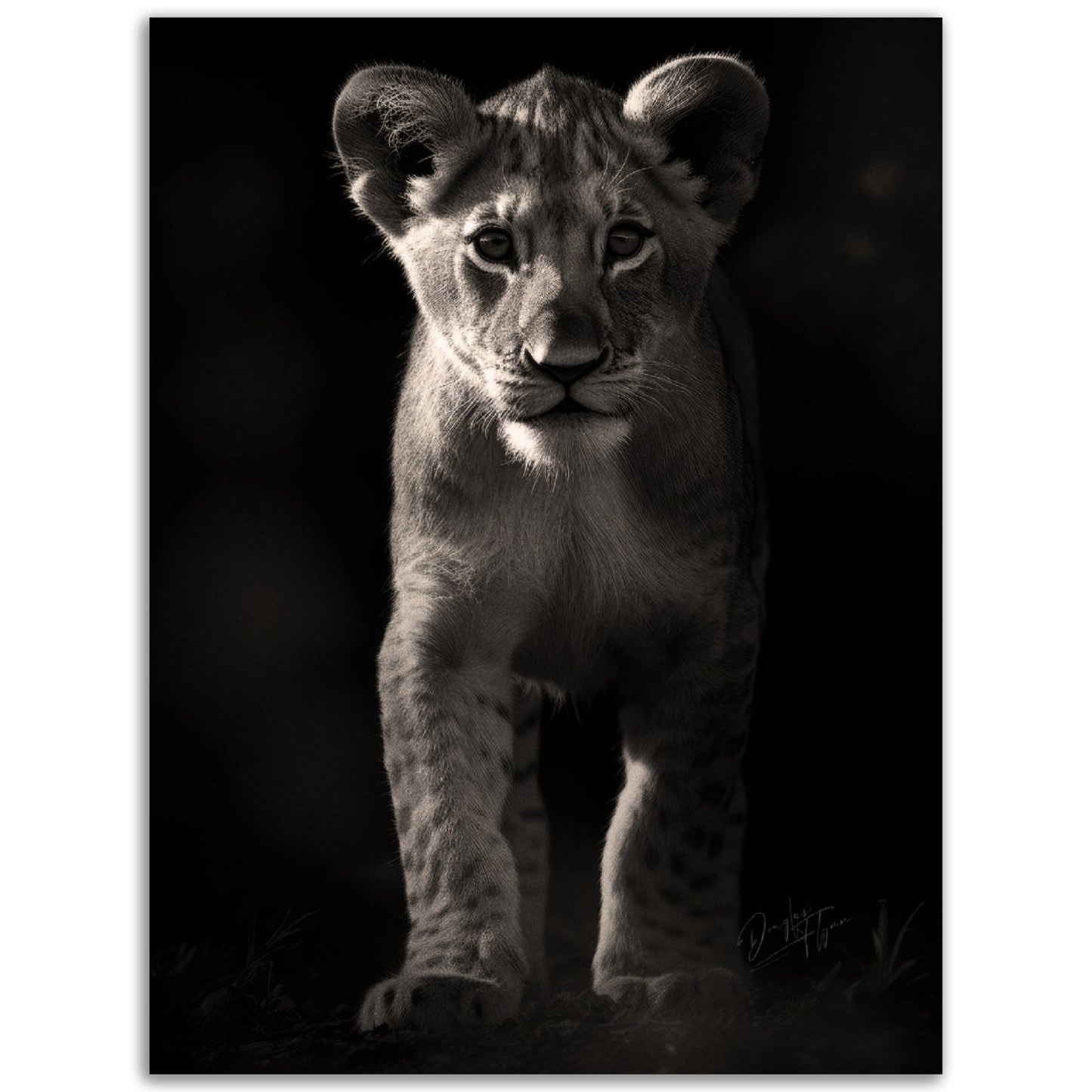 »Adorable and Fierce« poster