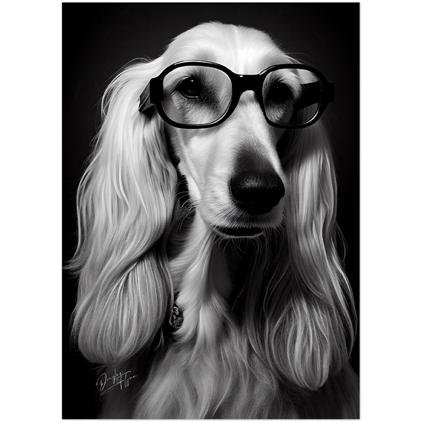 »Afghan Brainy Breed« retro poster
