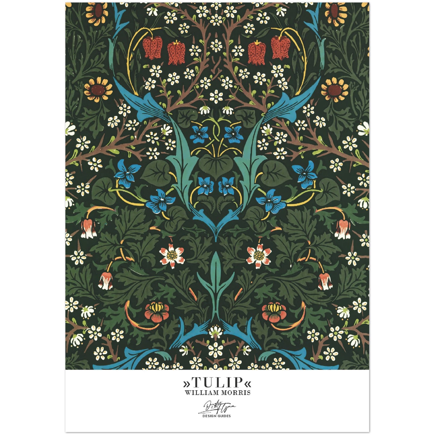 »Tulip, 2«