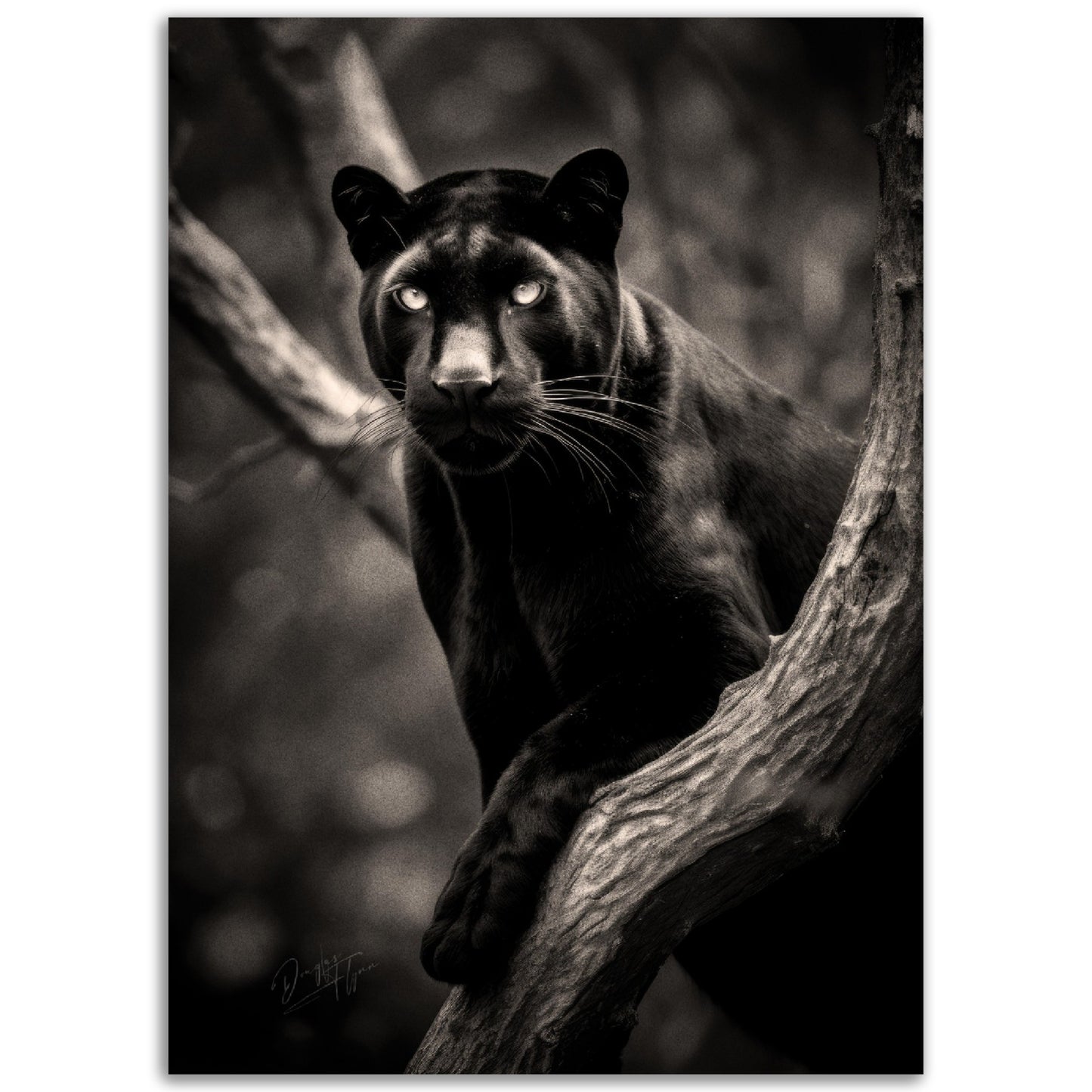 »Graceful and Stealthy« poster