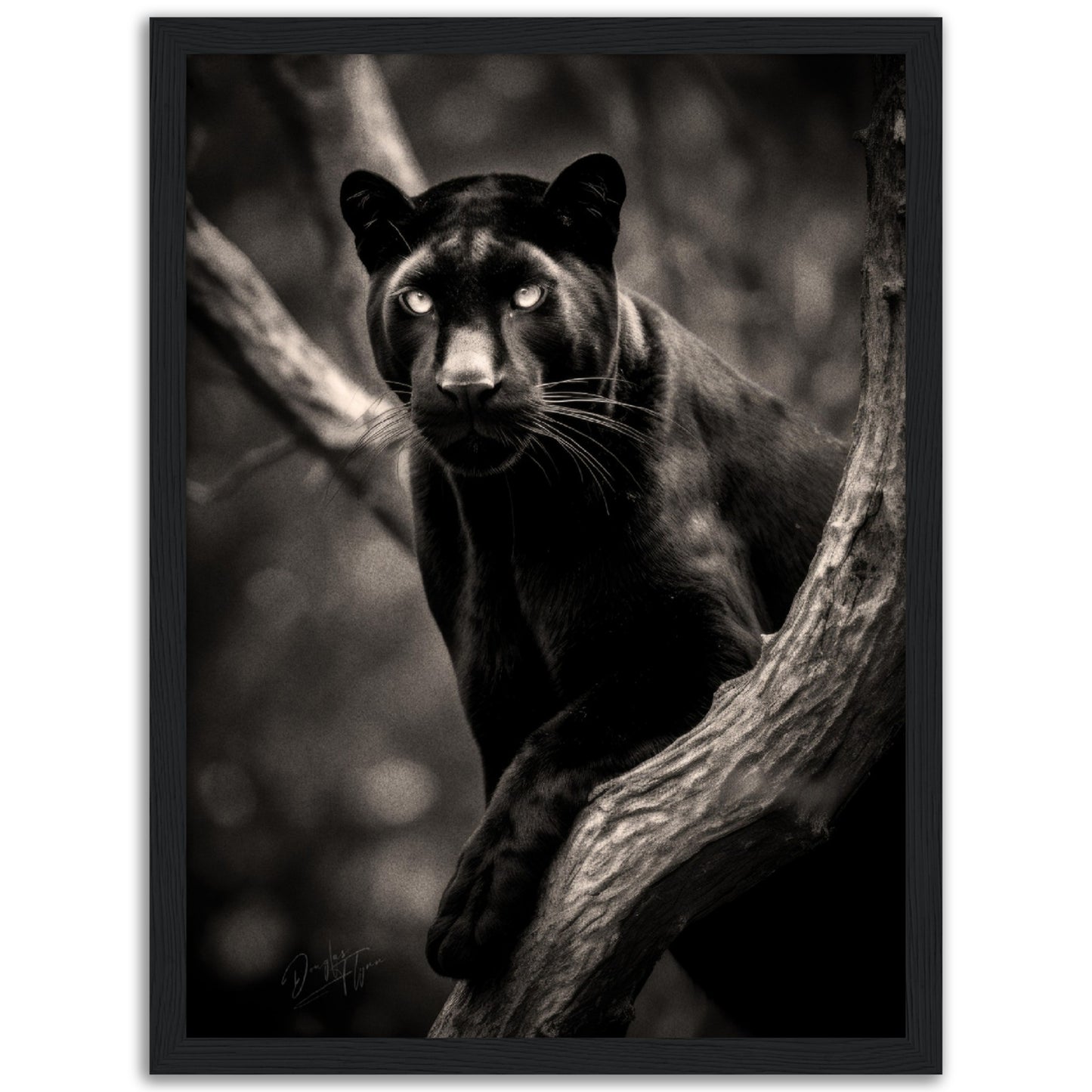 »Graceful and Stealthy« poster