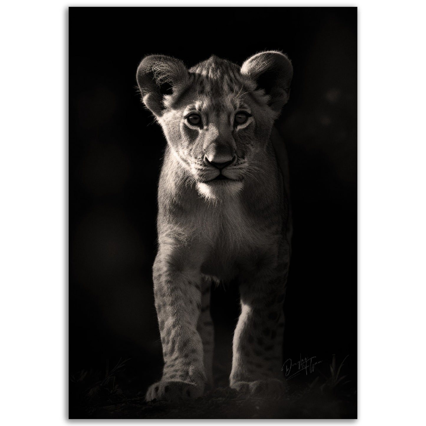 »Adorable and Fierce« poster