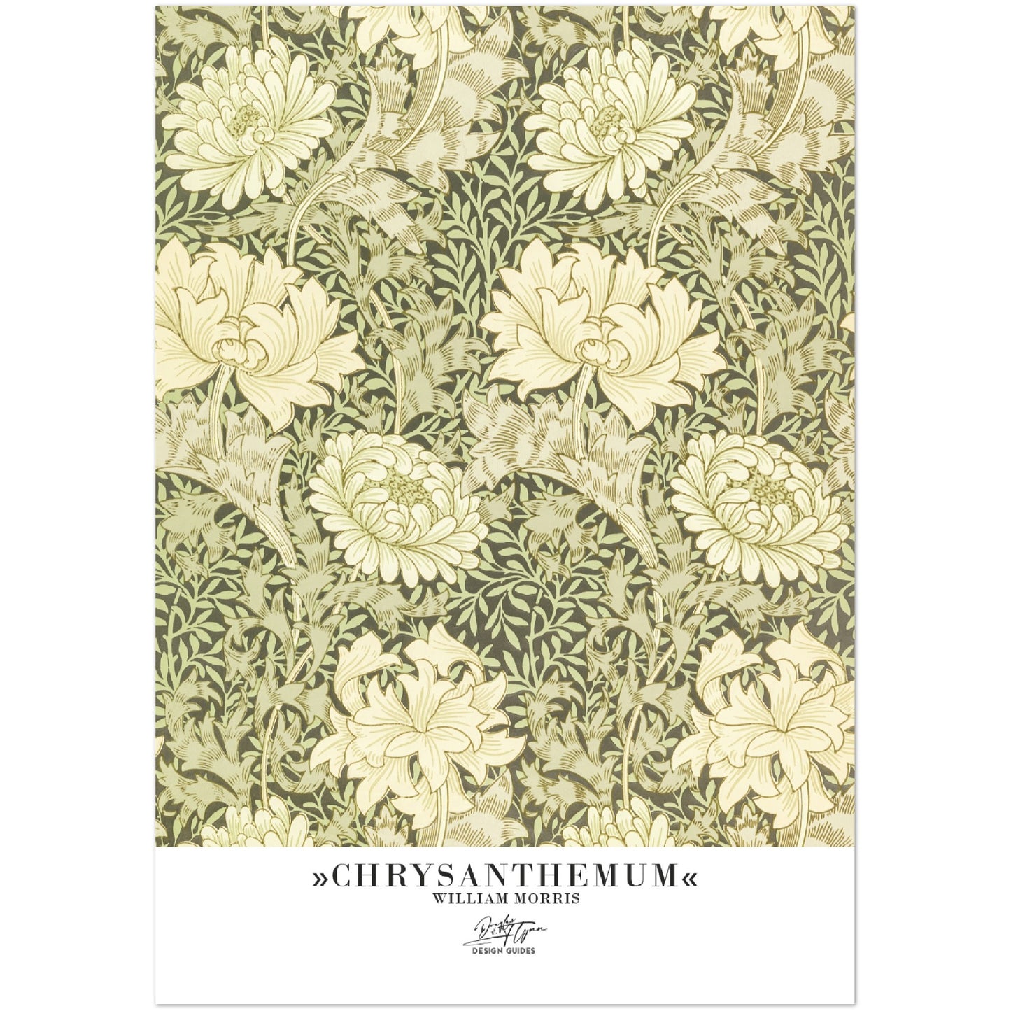 »Chrysanthemum«