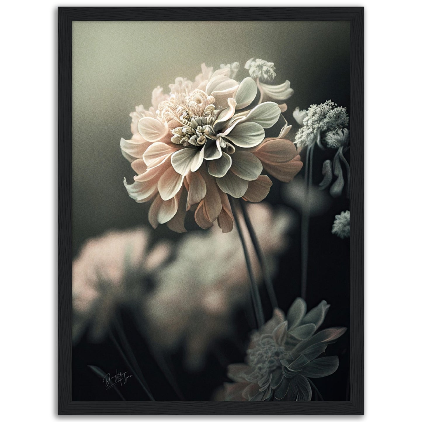 »Soft Petals« designposter