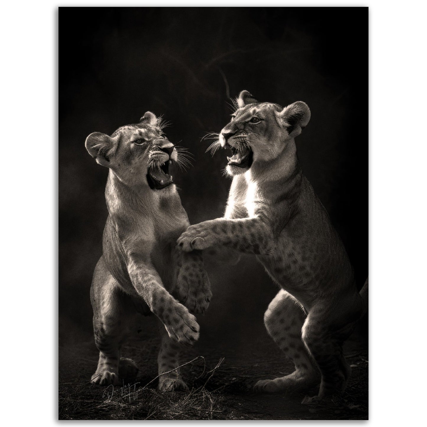 »Rough and Tumble« poster