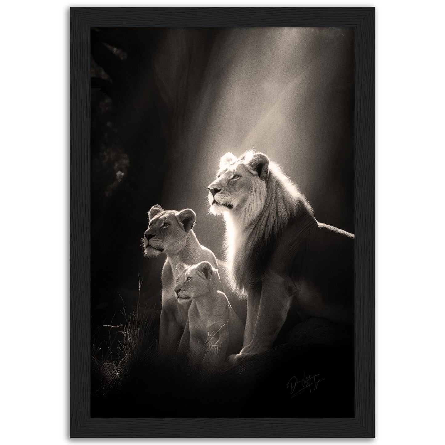 »Roars and Whispers« poster