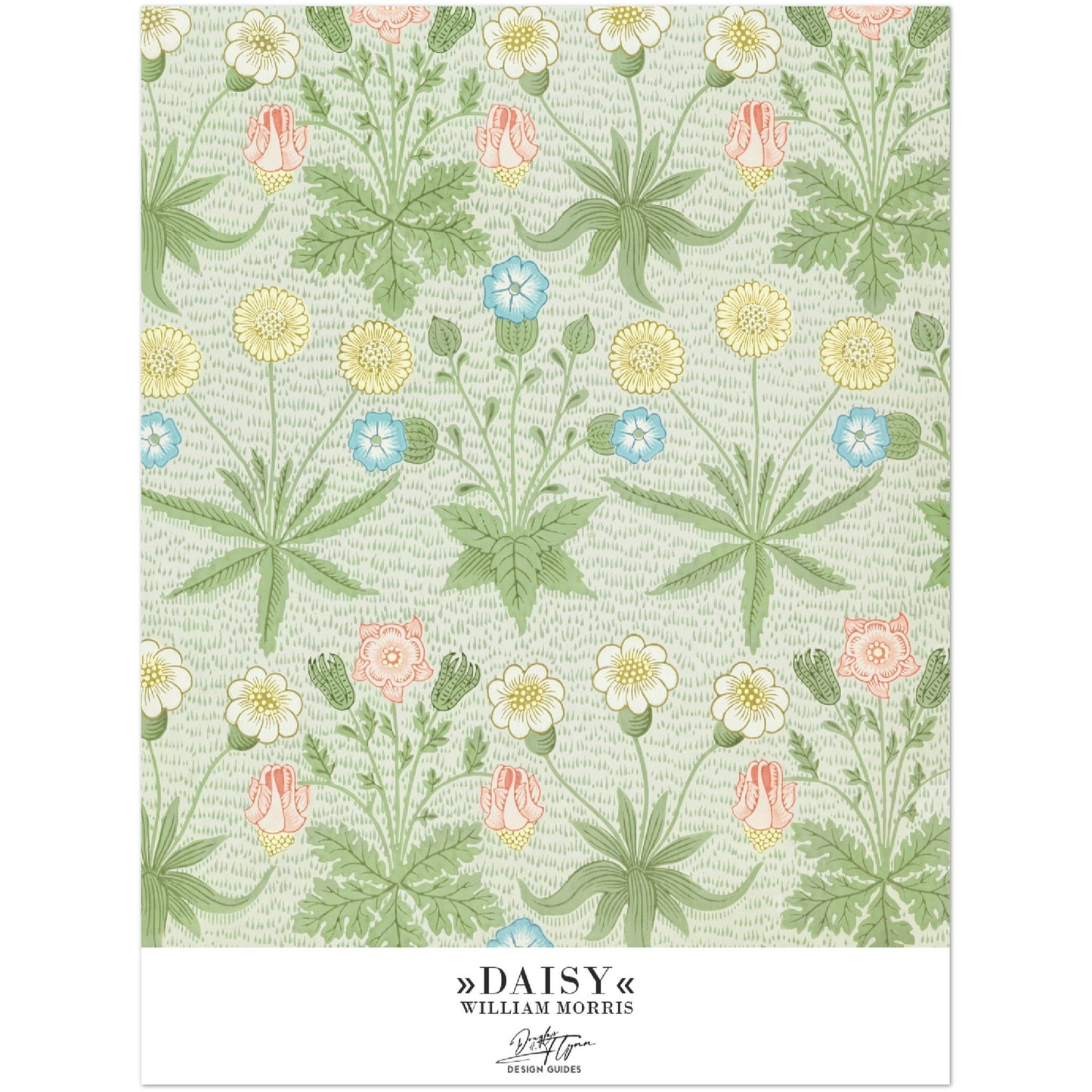 »Daisy«