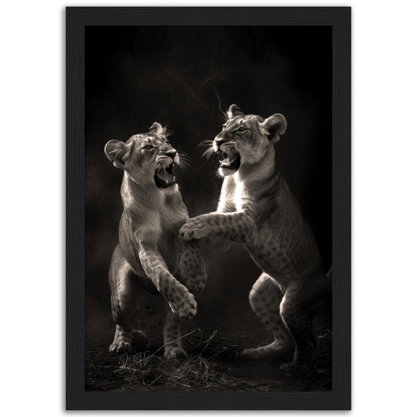»Rough and Tumble« poster