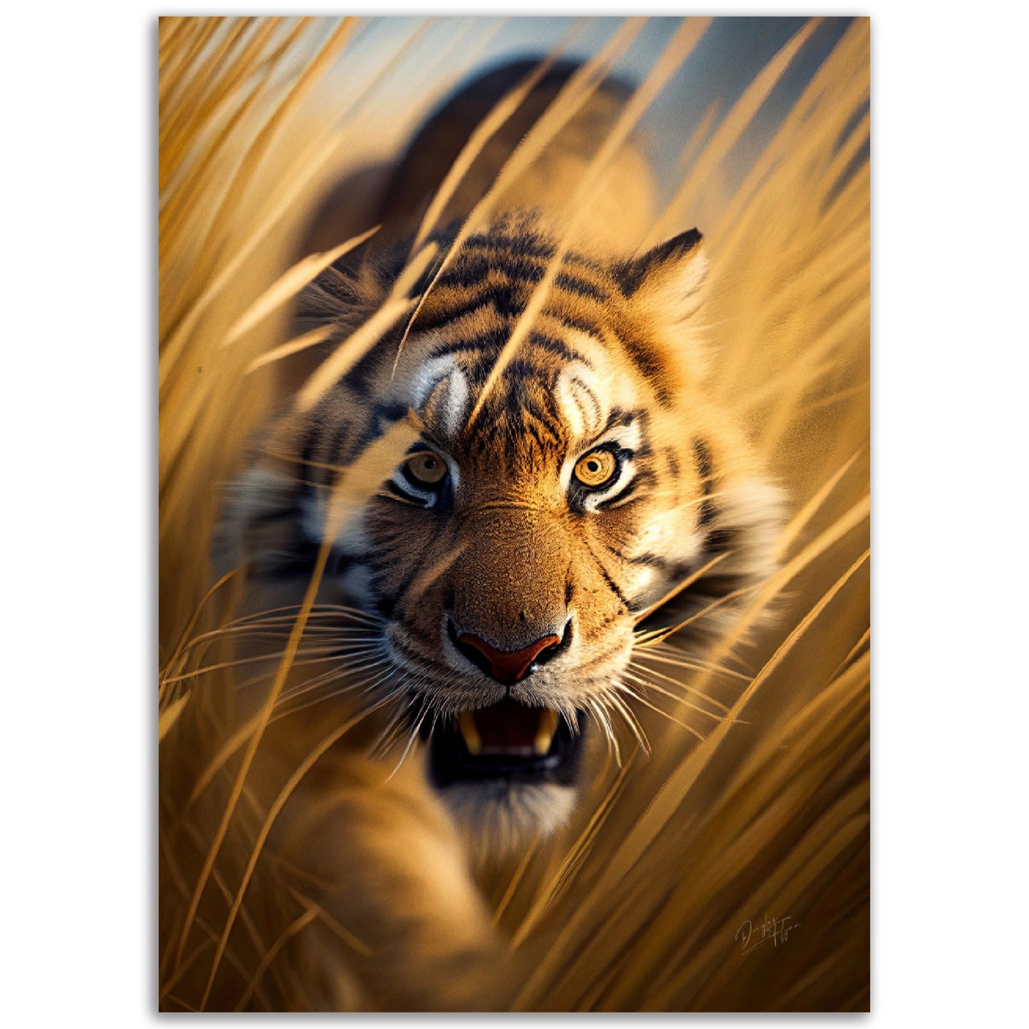»Safari Sightings«