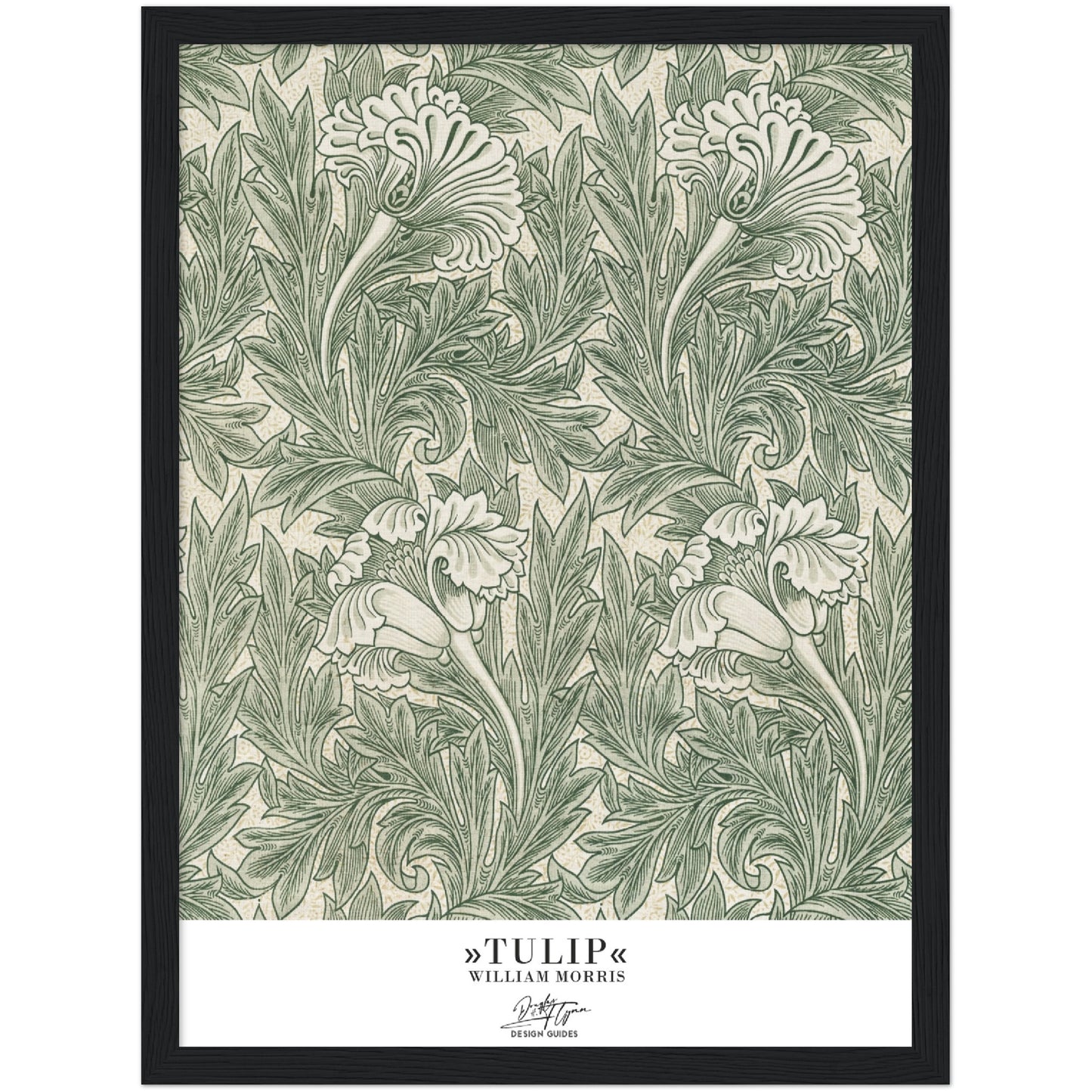 »Tulip, 1«