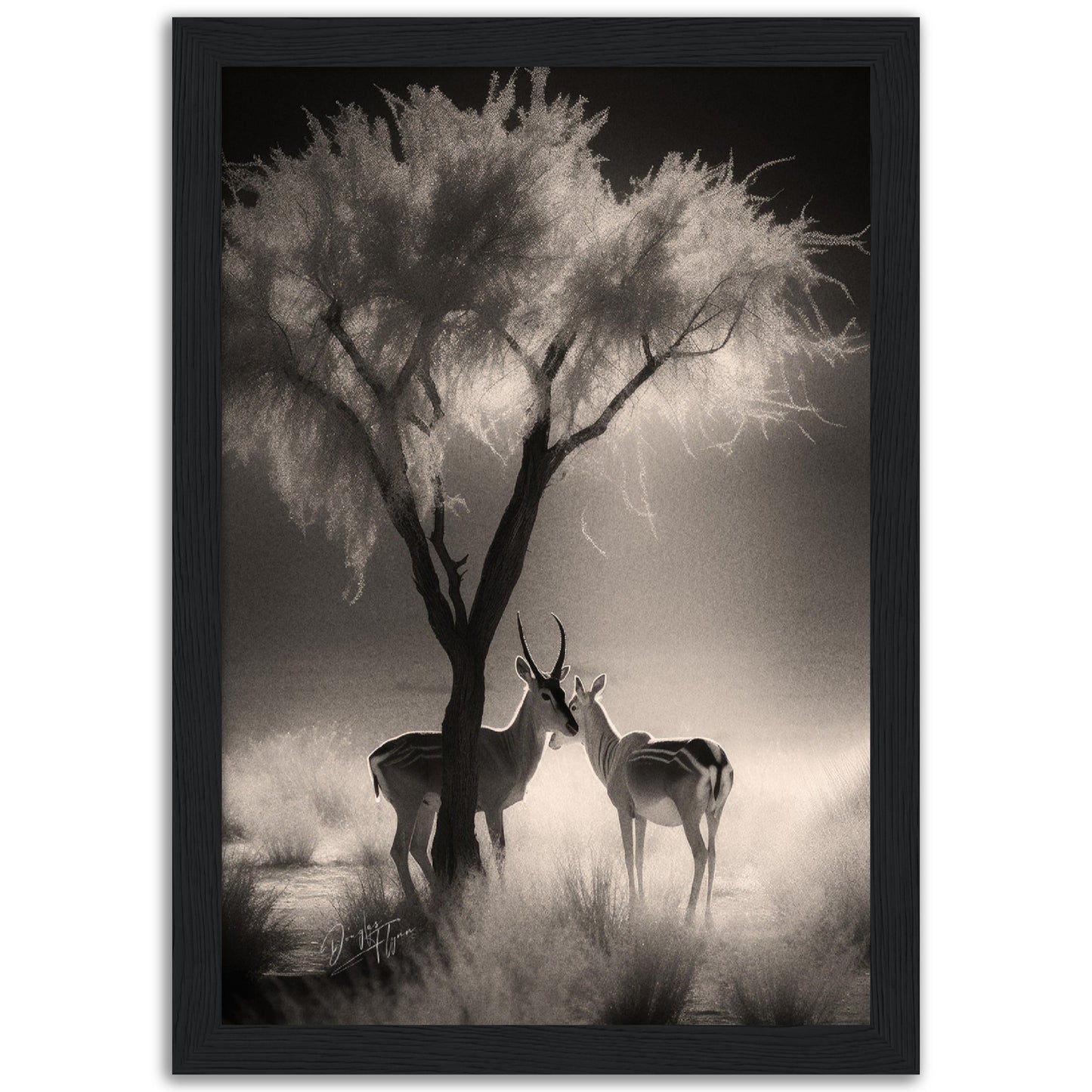 »Antelopes In Relaxing In TheShade« poster