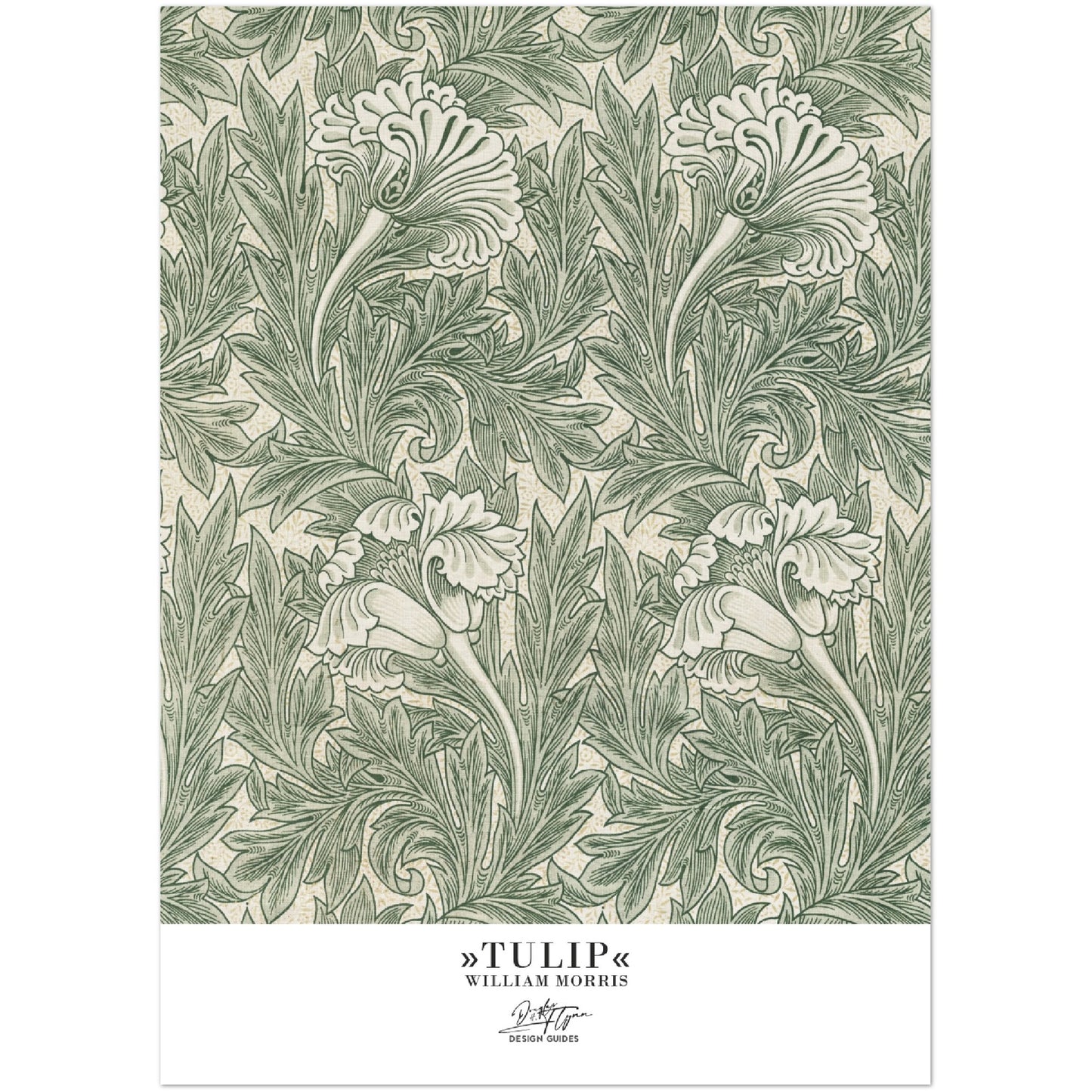 »Tulip, 1«
