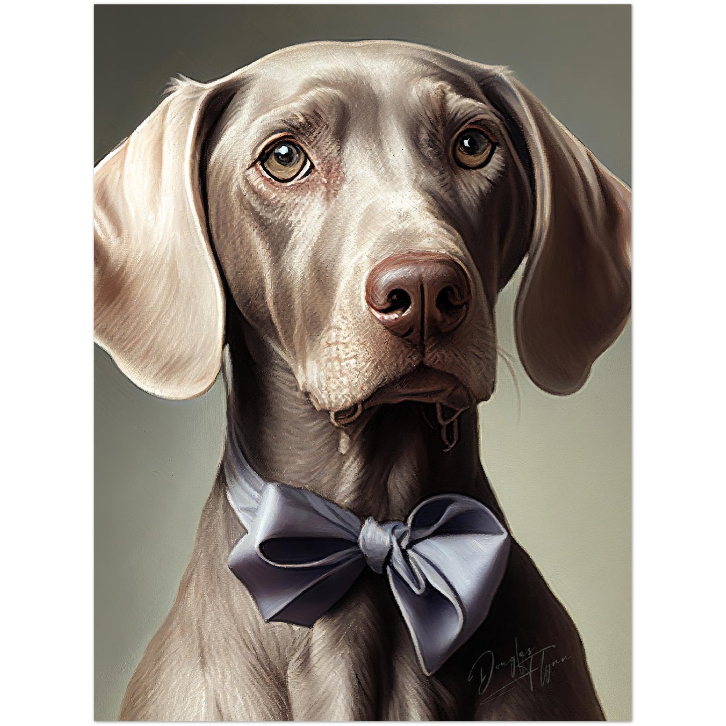 »Weimaraner med rosett«