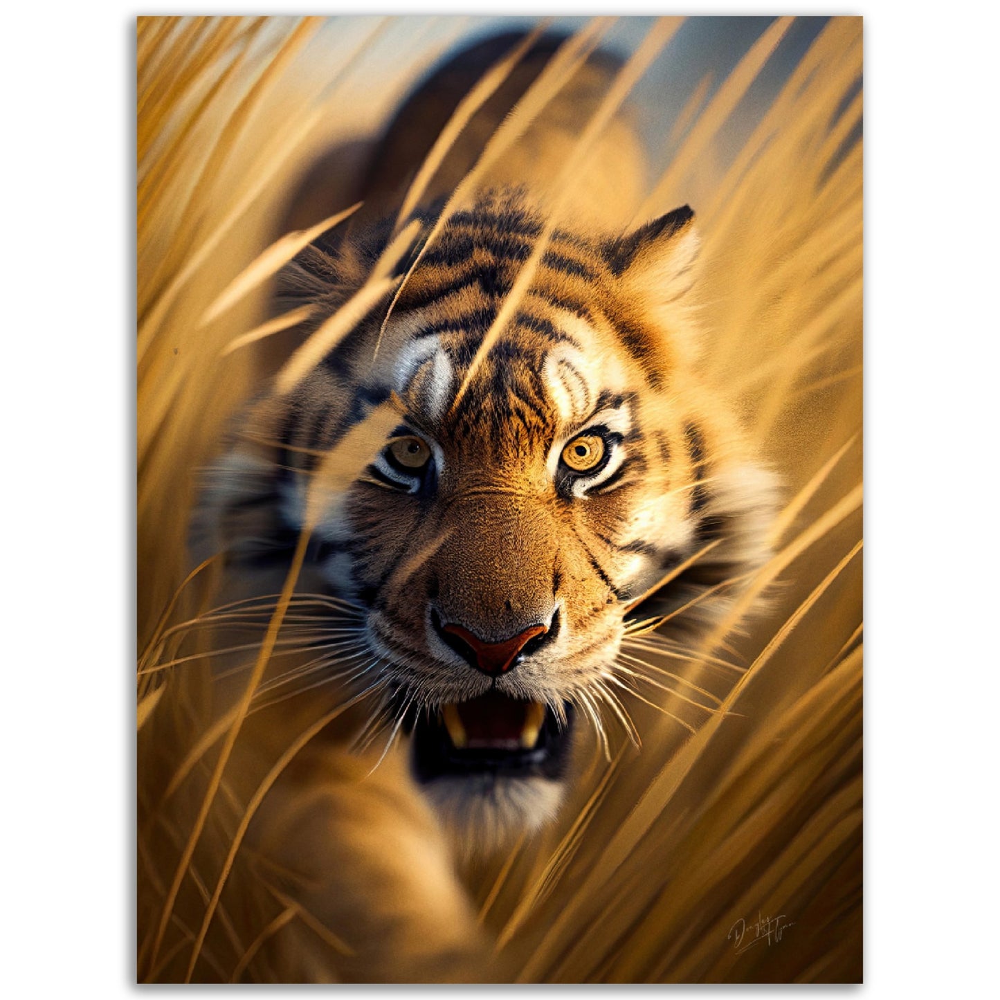 »Safari Sightings«