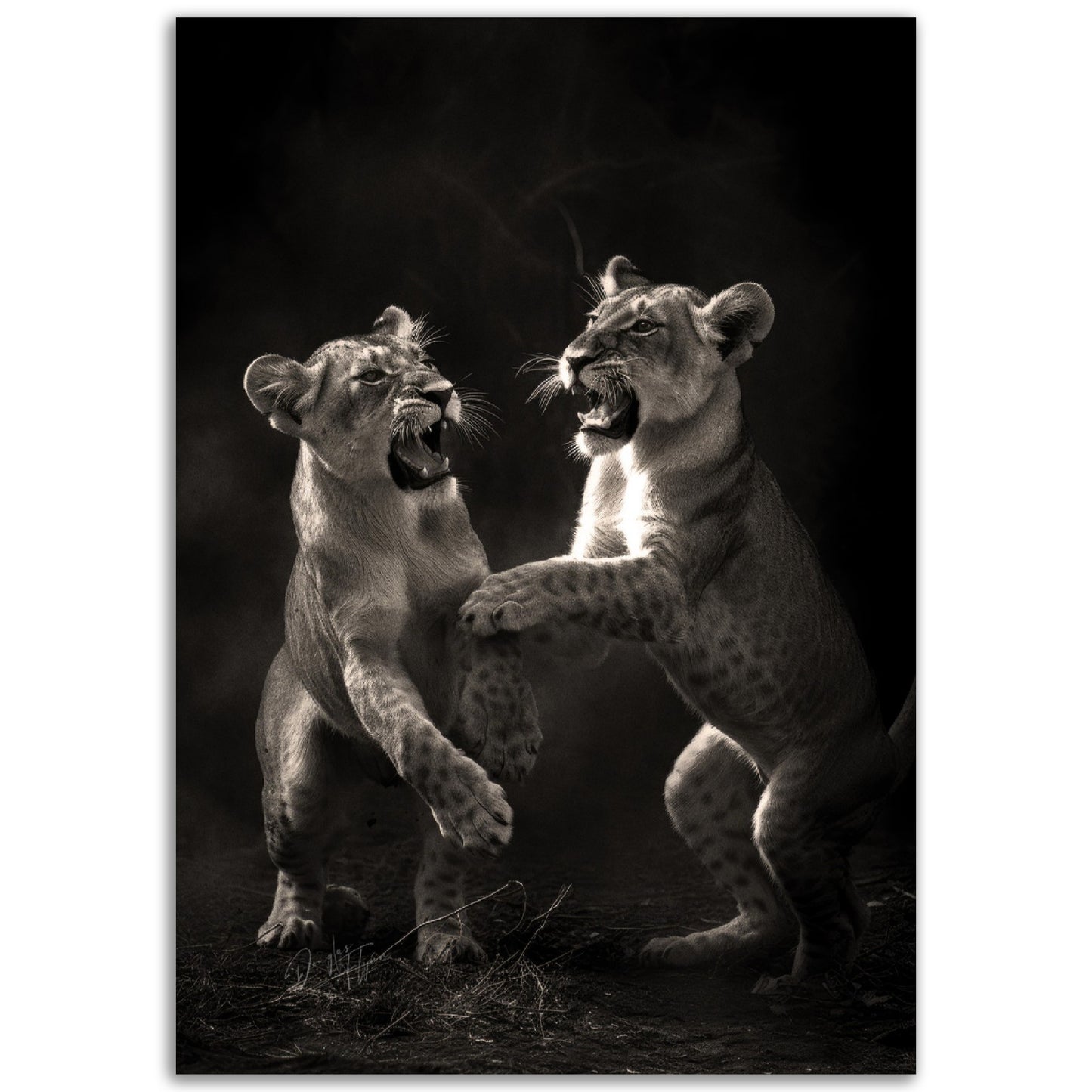 »Rough and Tumble« poster