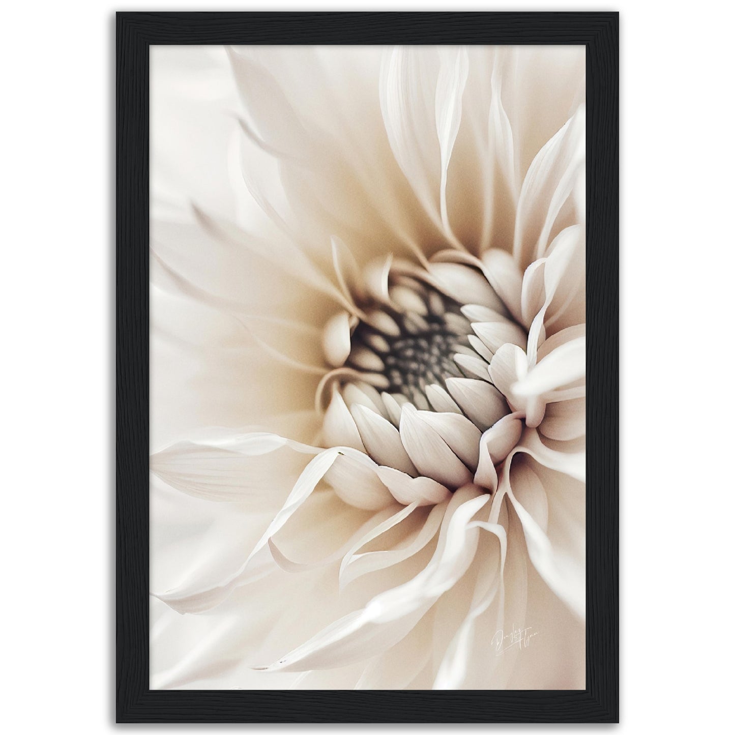 »White Flower« designposter