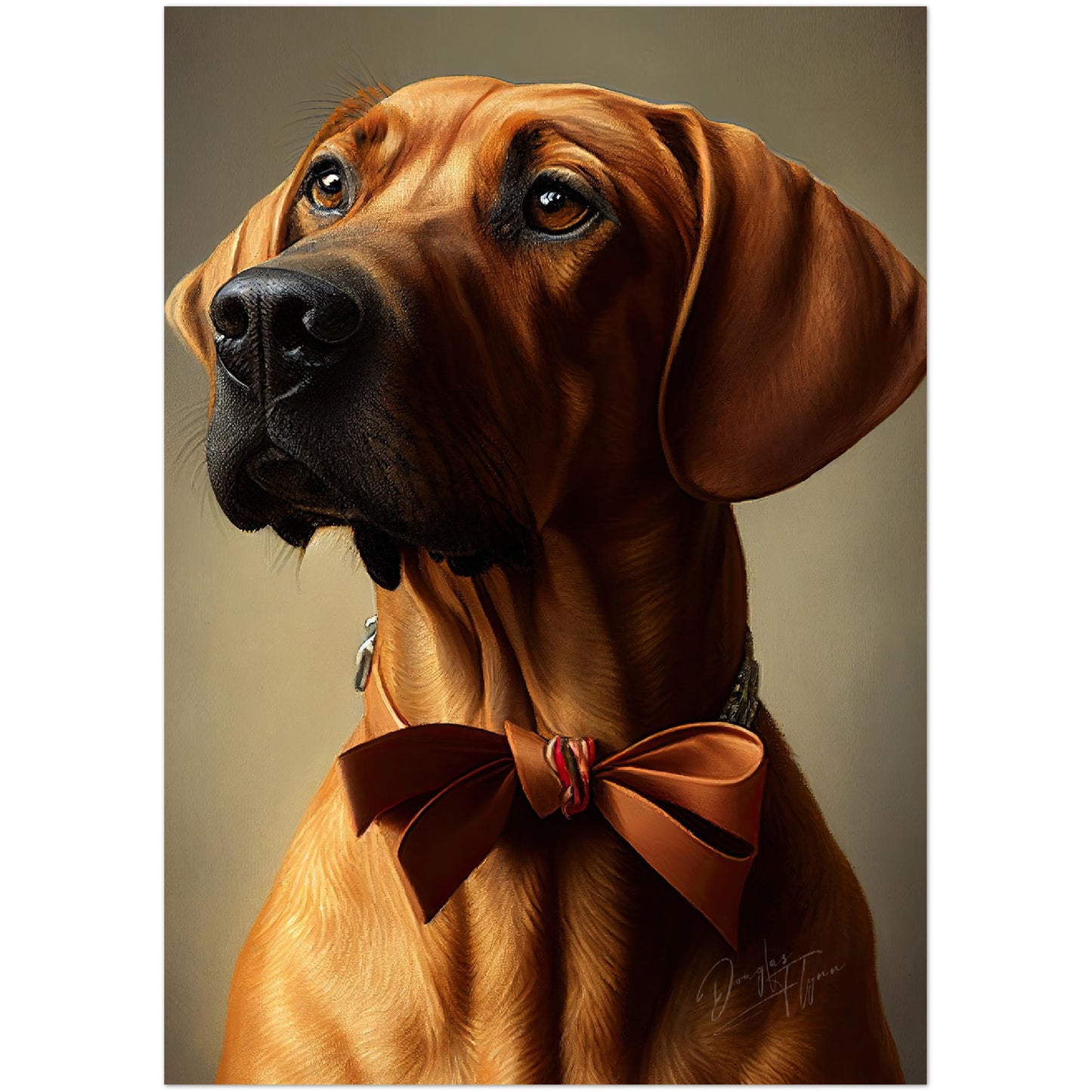 »Rhodesian Ridgeback med rosett«