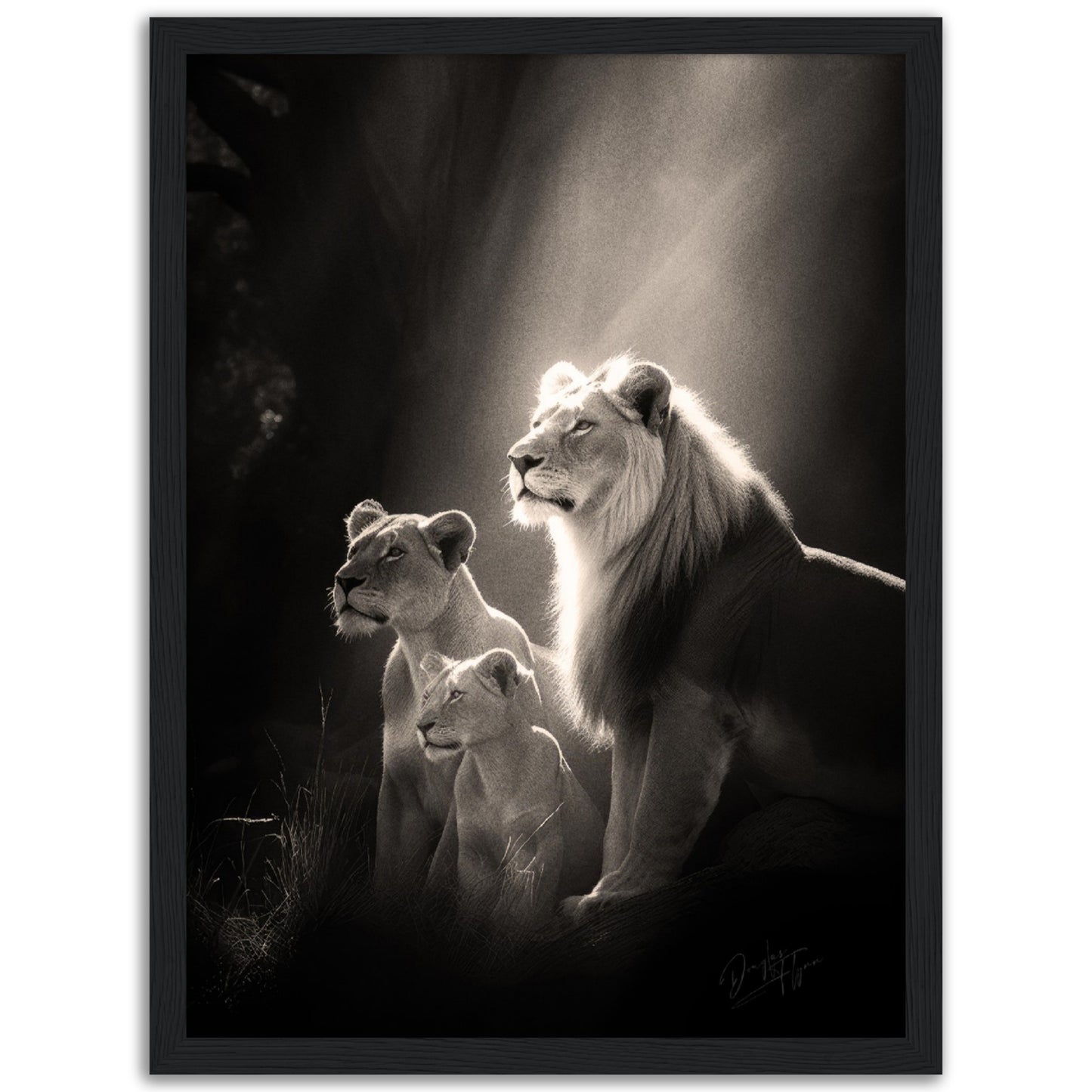 »Roars and Whispers« poster