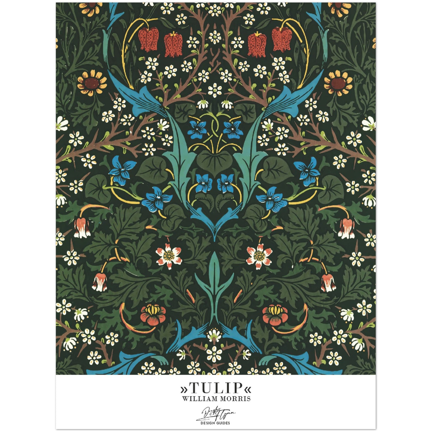 »Tulip, 2«