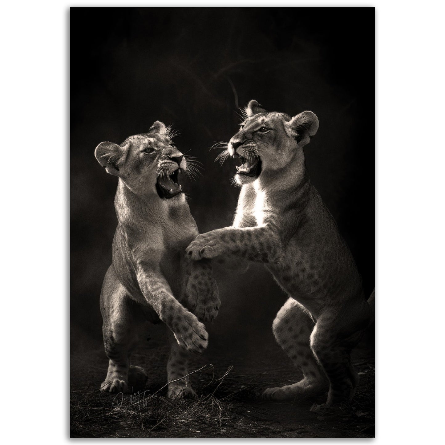 »Rough and Tumble« poster