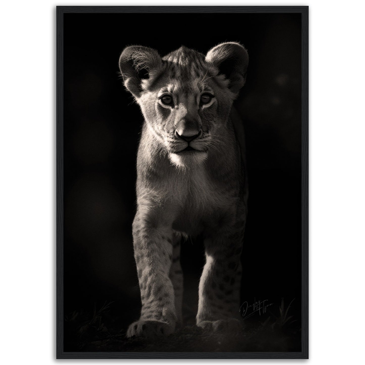 »Adorable and Fierce« poster