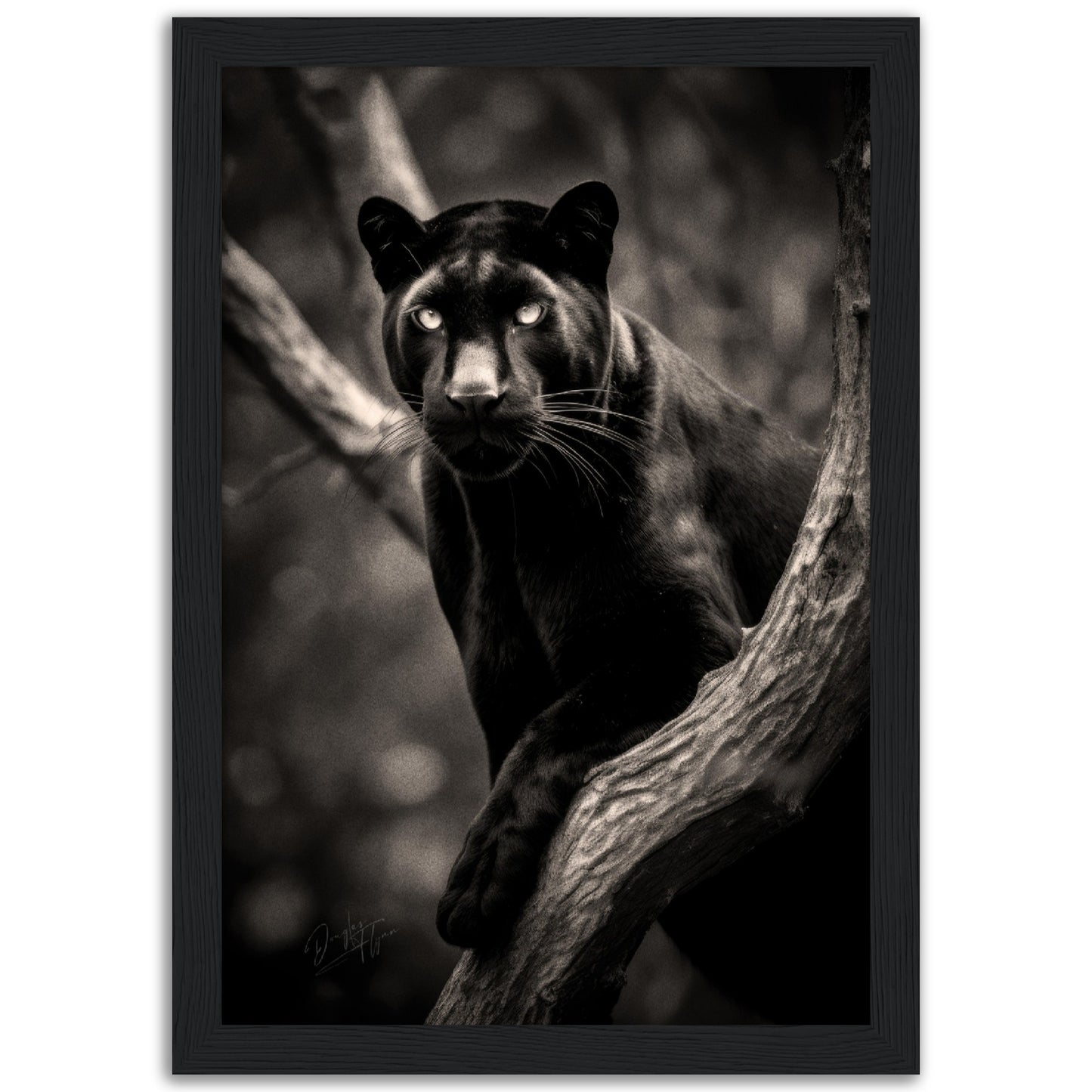 »Graceful and Stealthy« poster