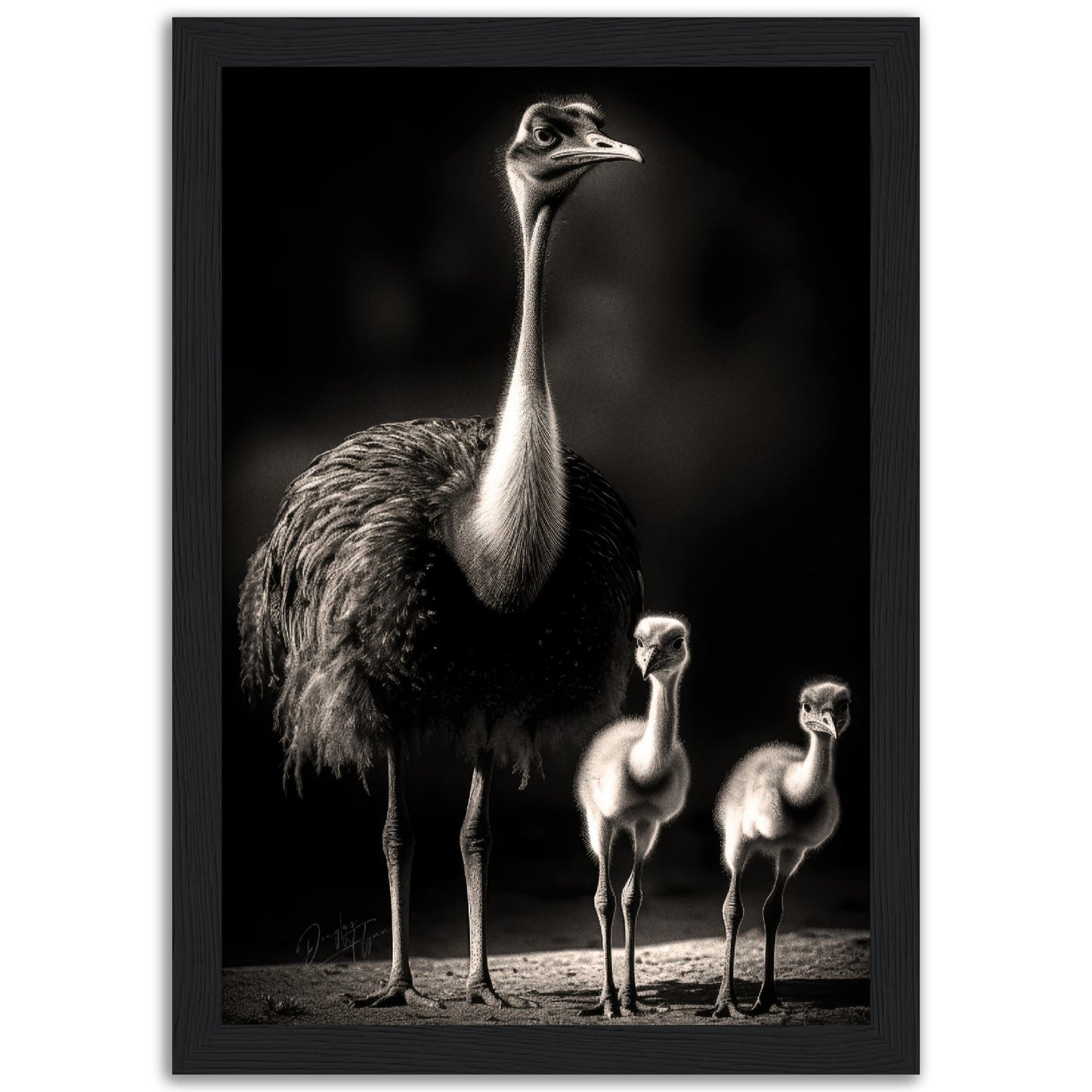 »Feathered Family of the Savannah« poster