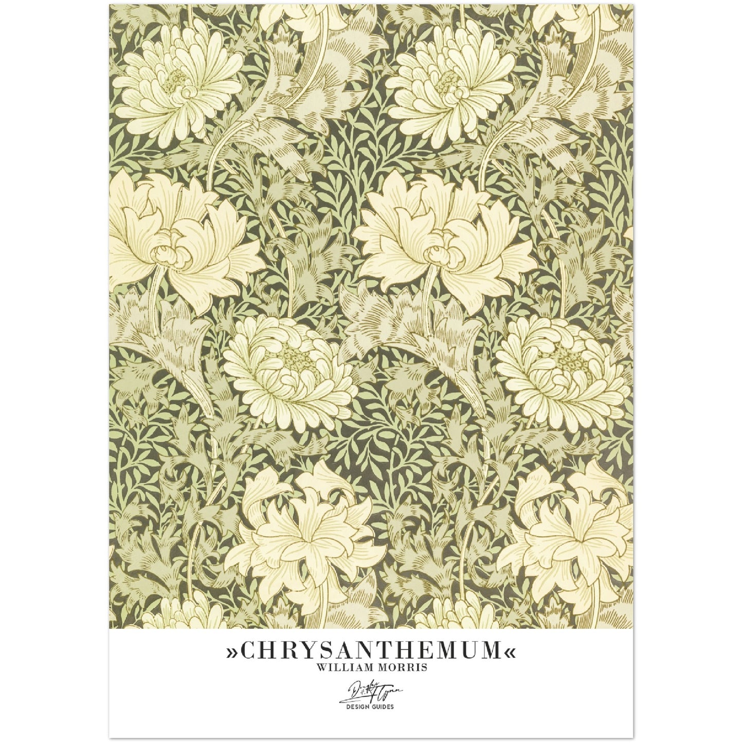 »Chrysanthemum«