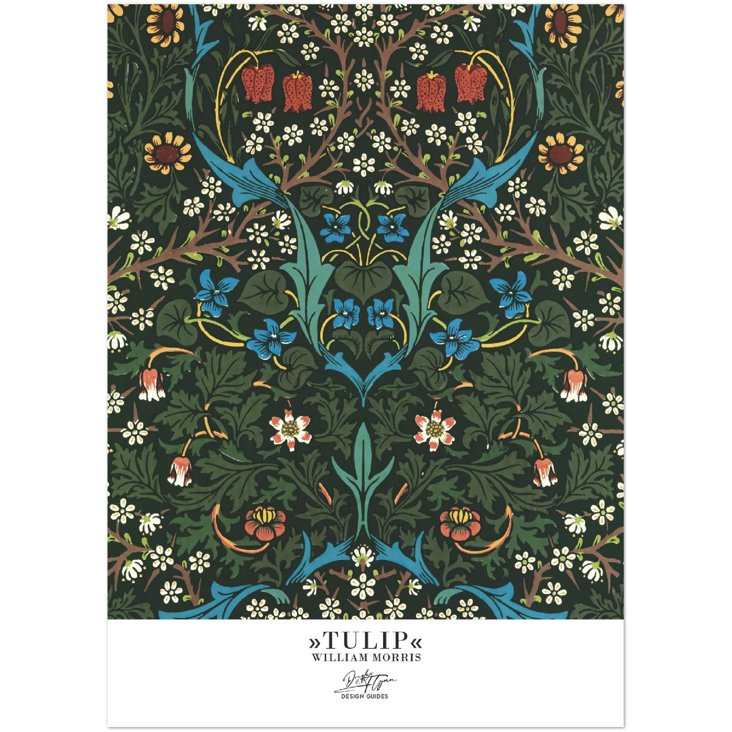 »Tulip, 2«