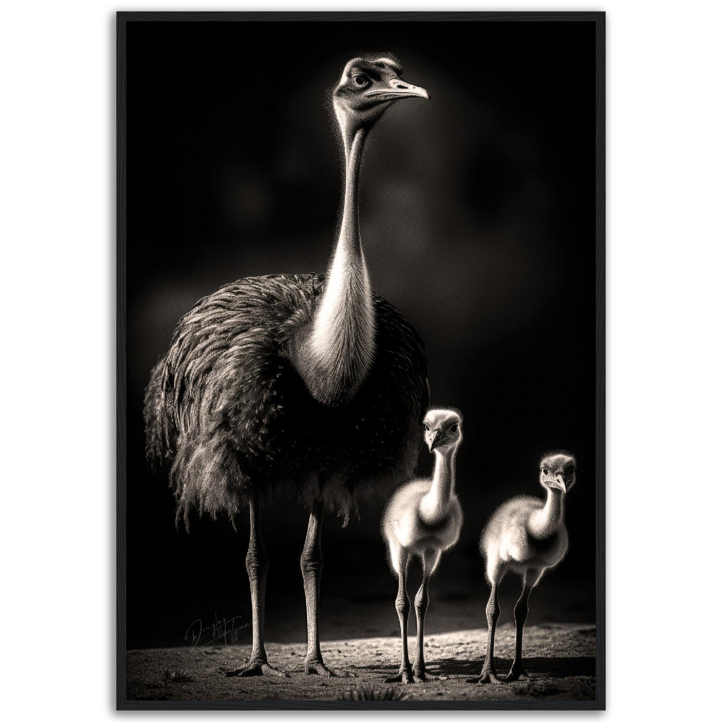 »Feathered Family of the Savannah« poster